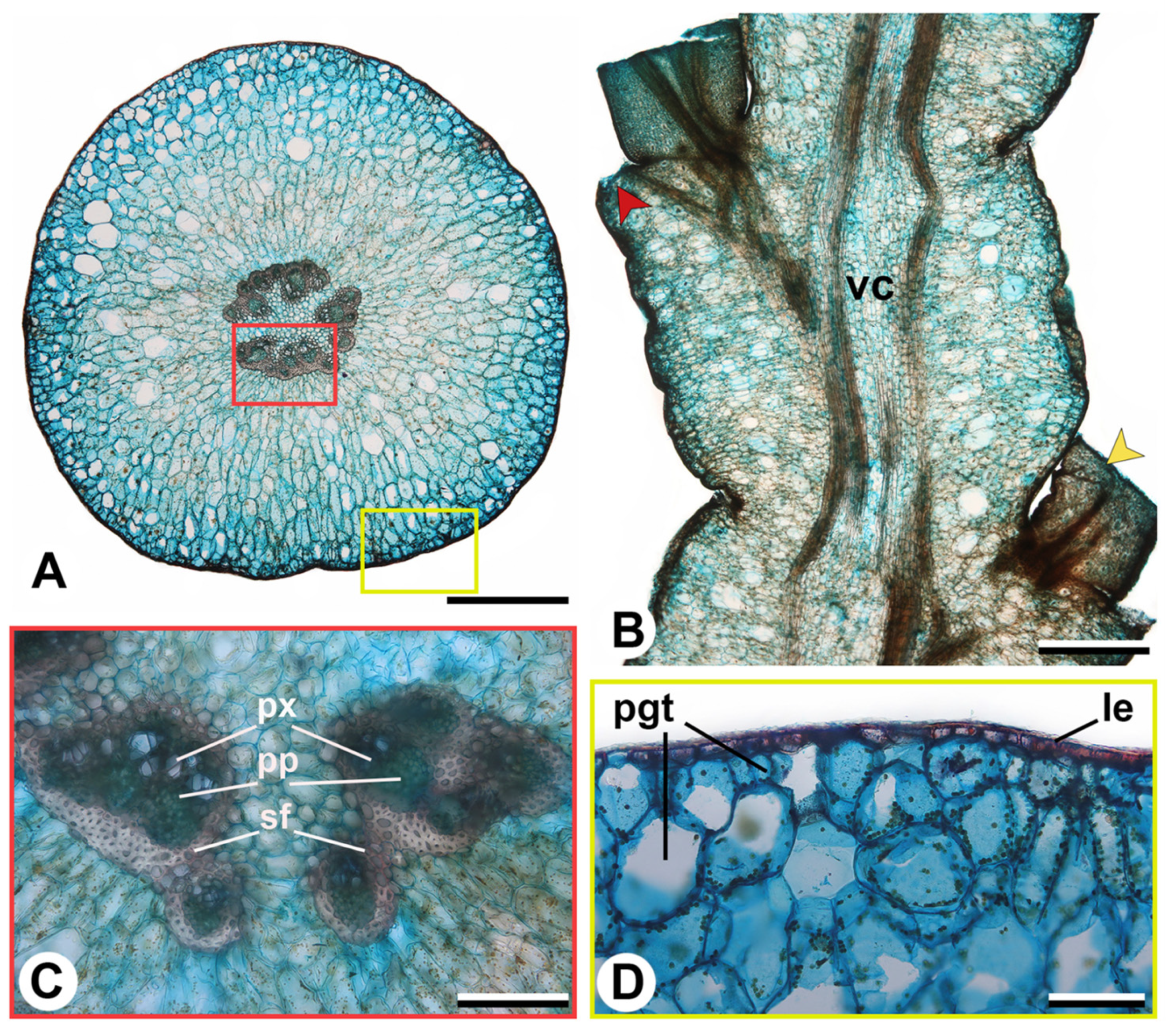 Ijpb 14 00024 g005 Ijpb 14 00024 g005