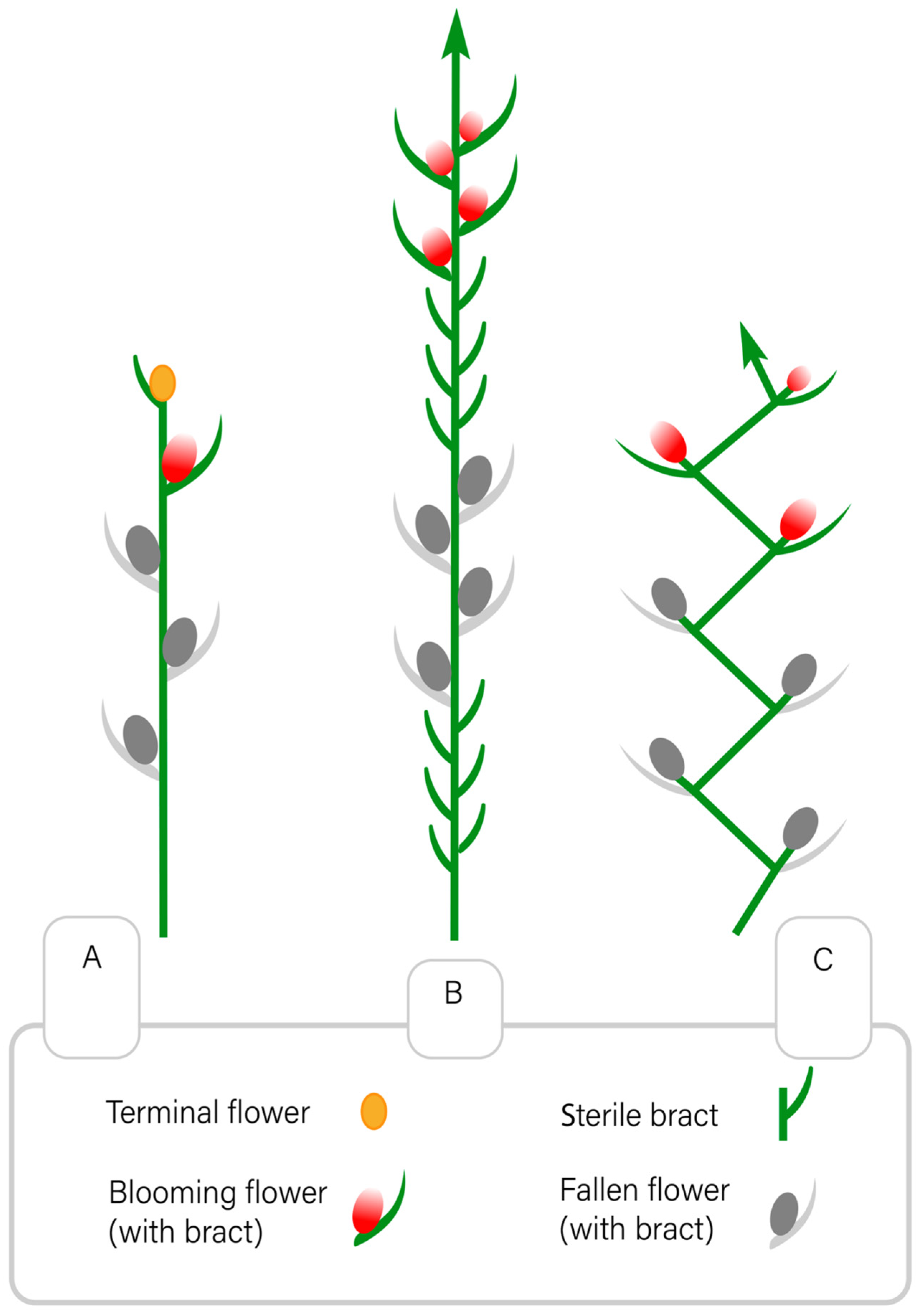 Ijpb 14 00024 g006 Ijpb 14 00024 g006