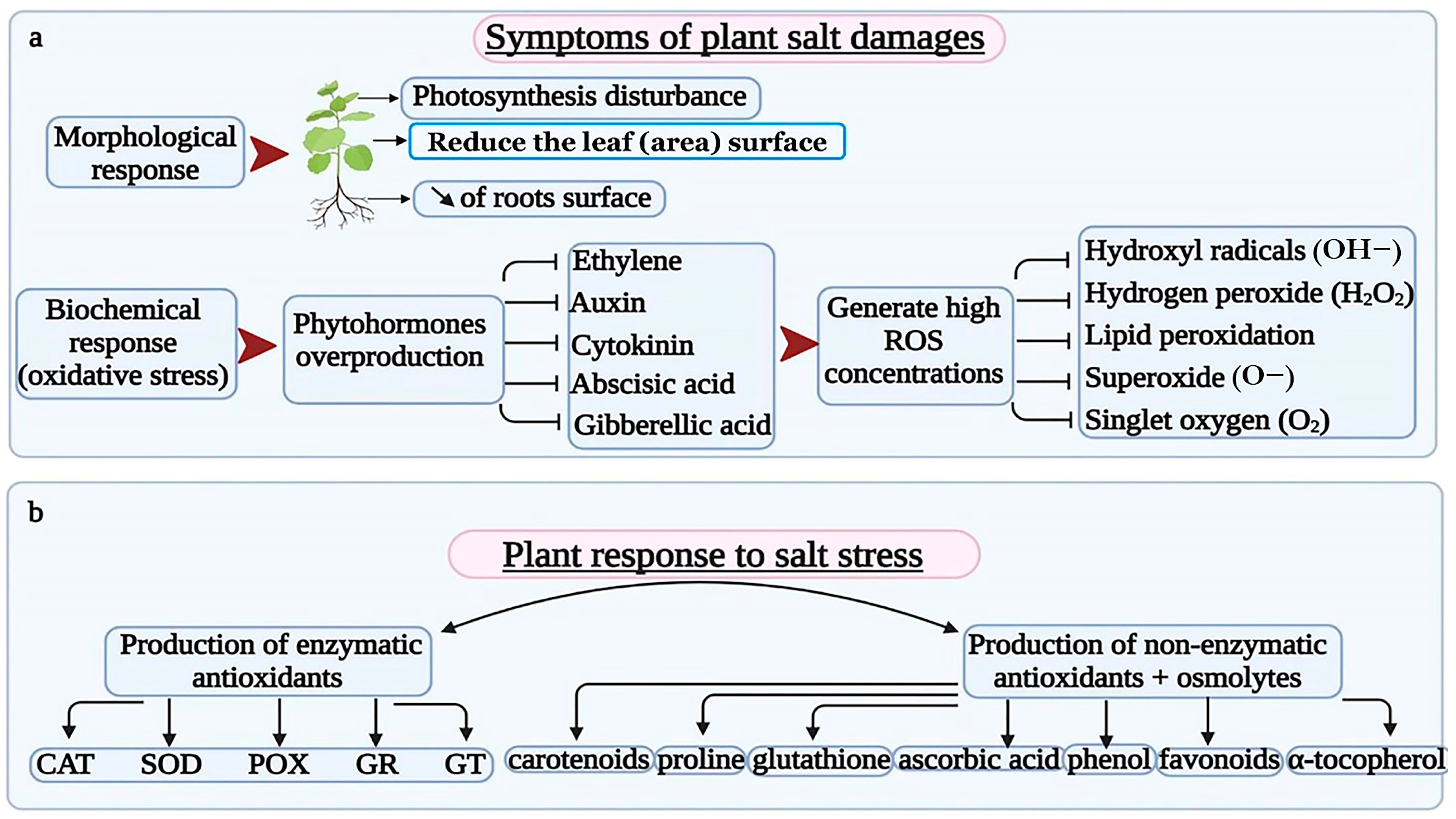 Ijpb 14 00030 g001 Ijpb 14 00030 g001