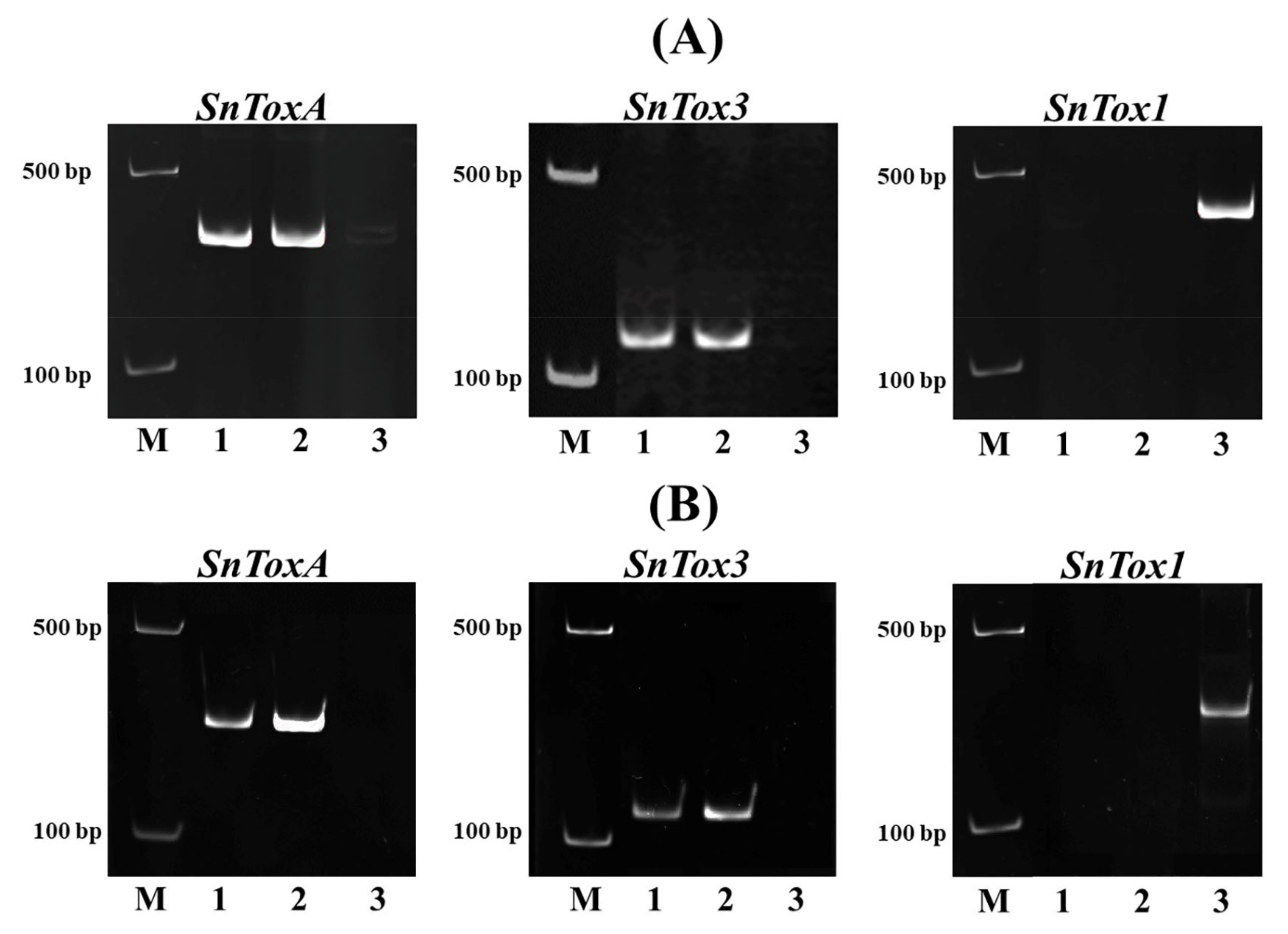 Ijpb 14 00031 g002 Ijpb 14 00031 g002