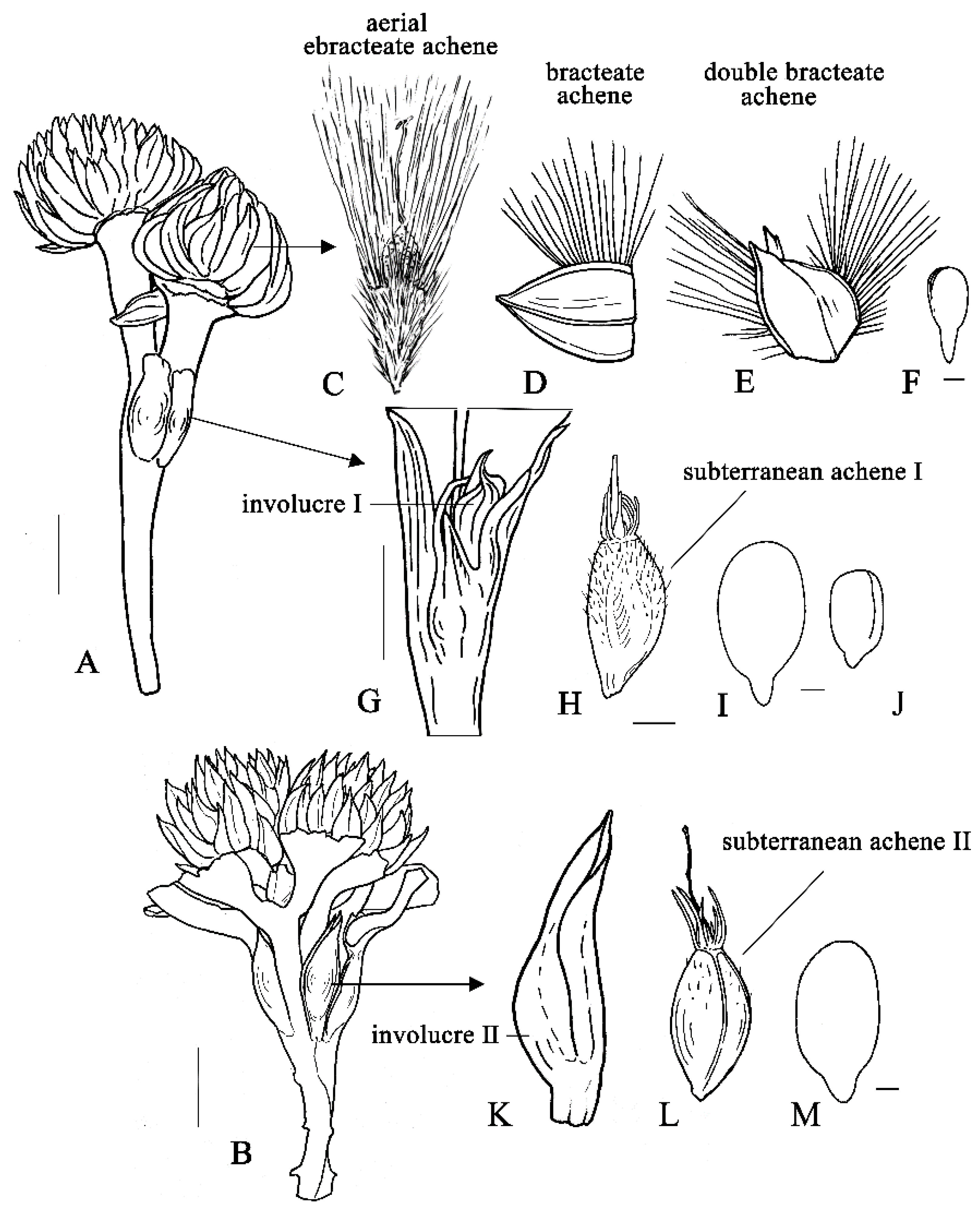 Ijpb 14 00032 g001 Ijpb 14 00032 g001