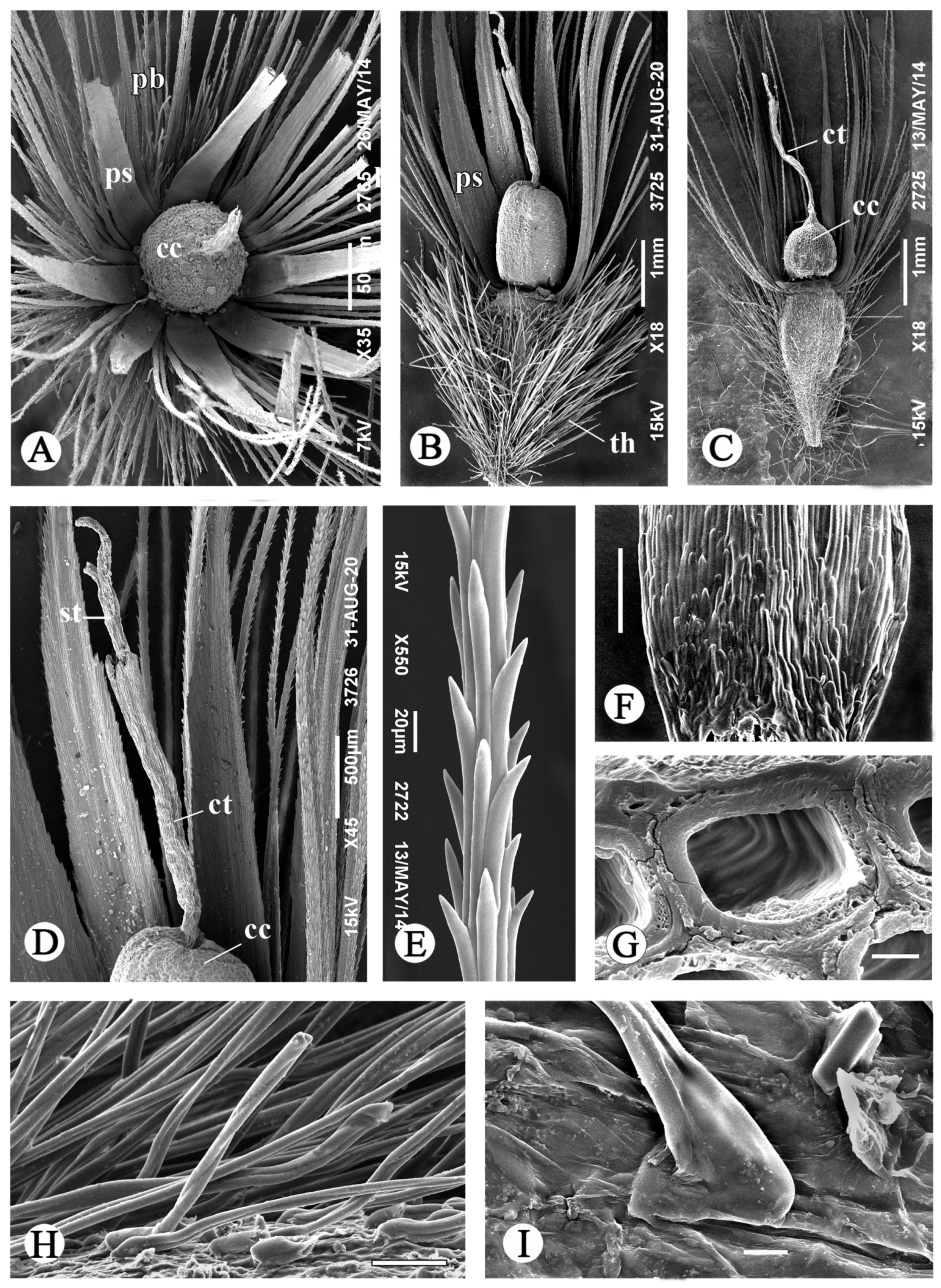 Ijpb 14 00032 g003 Ijpb 14 00032 g003