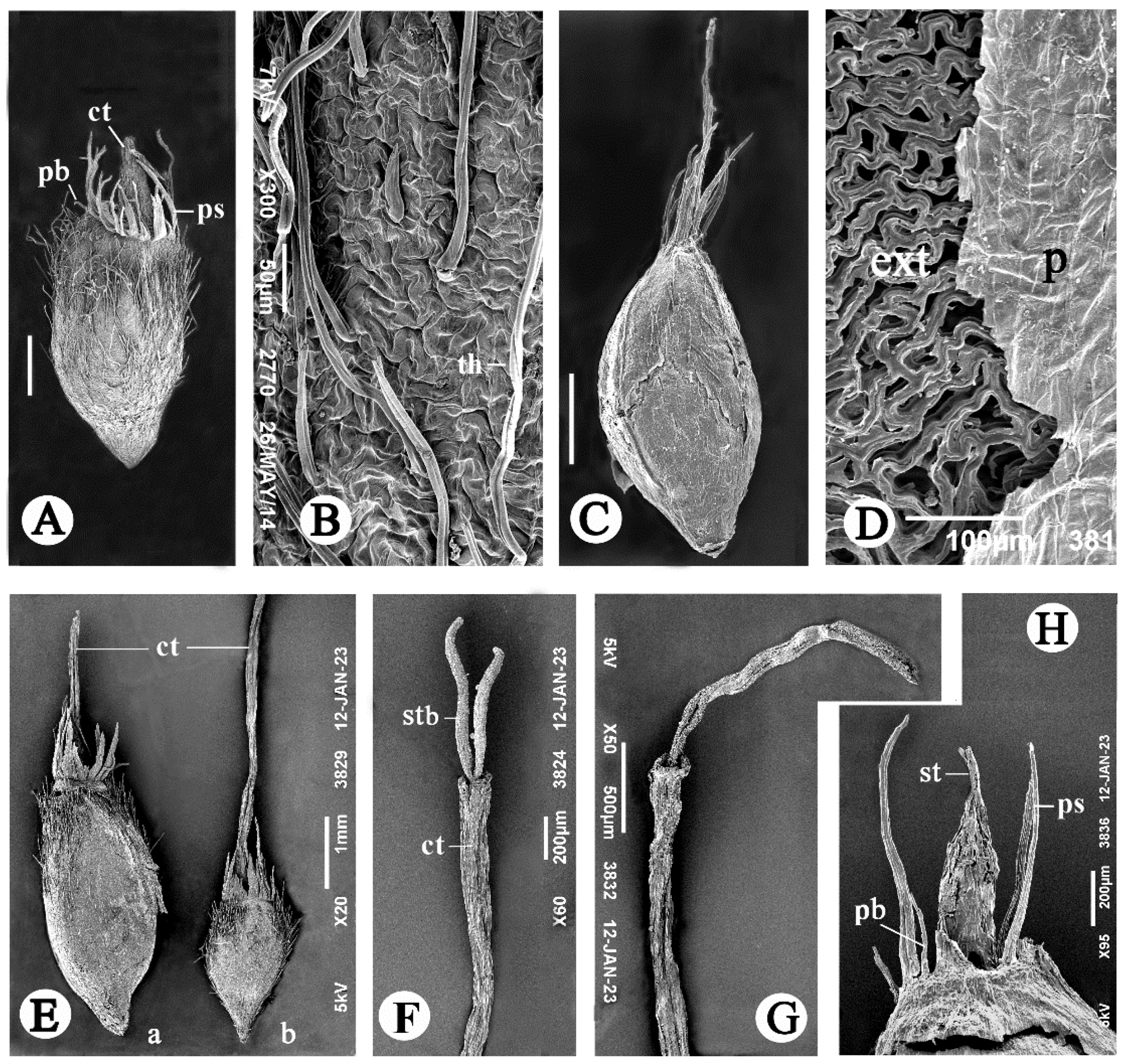 Ijpb 14 00032 g004 Ijpb 14 00032 g004