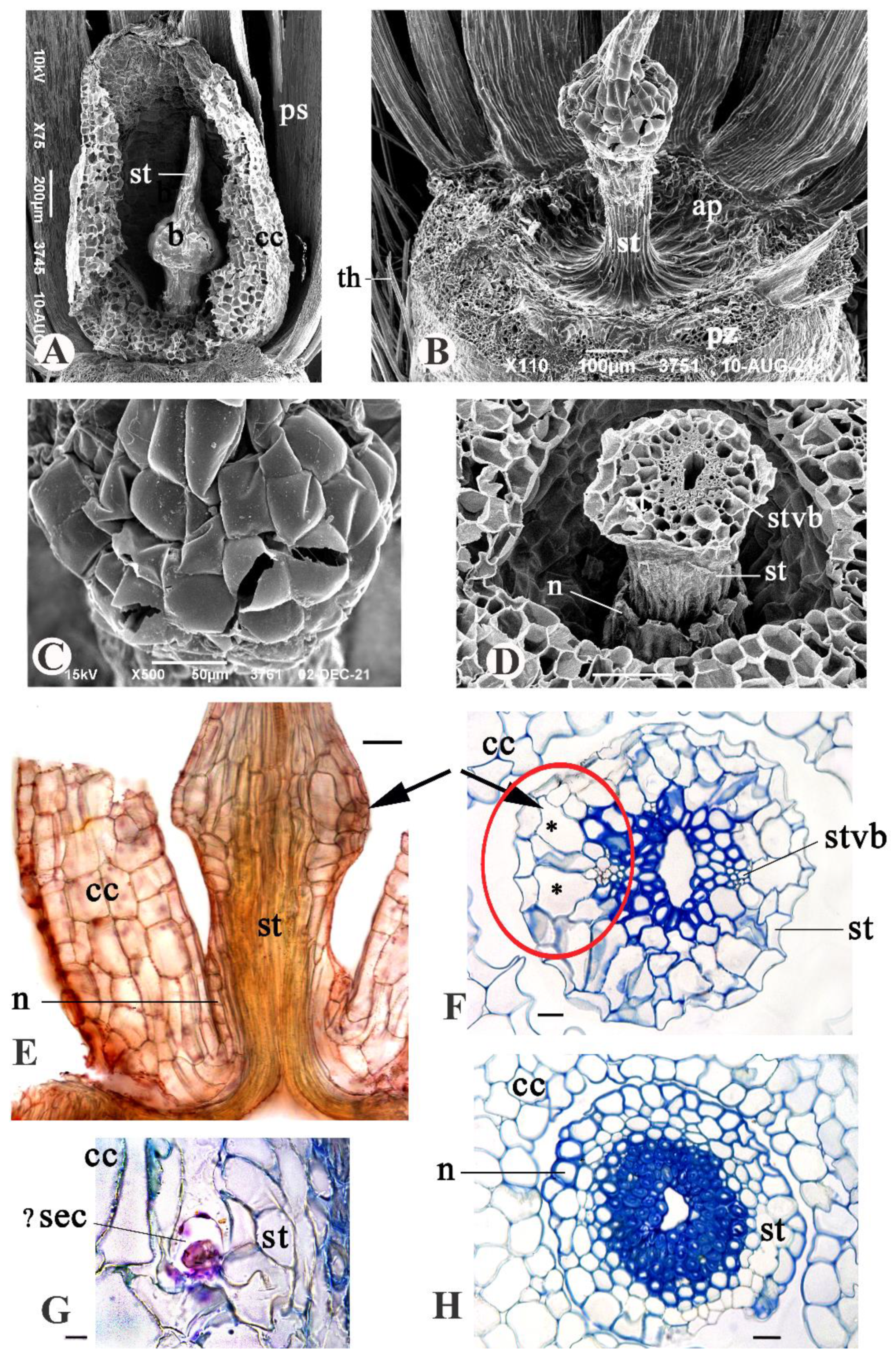 Ijpb 14 00032 g006 Ijpb 14 00032 g006