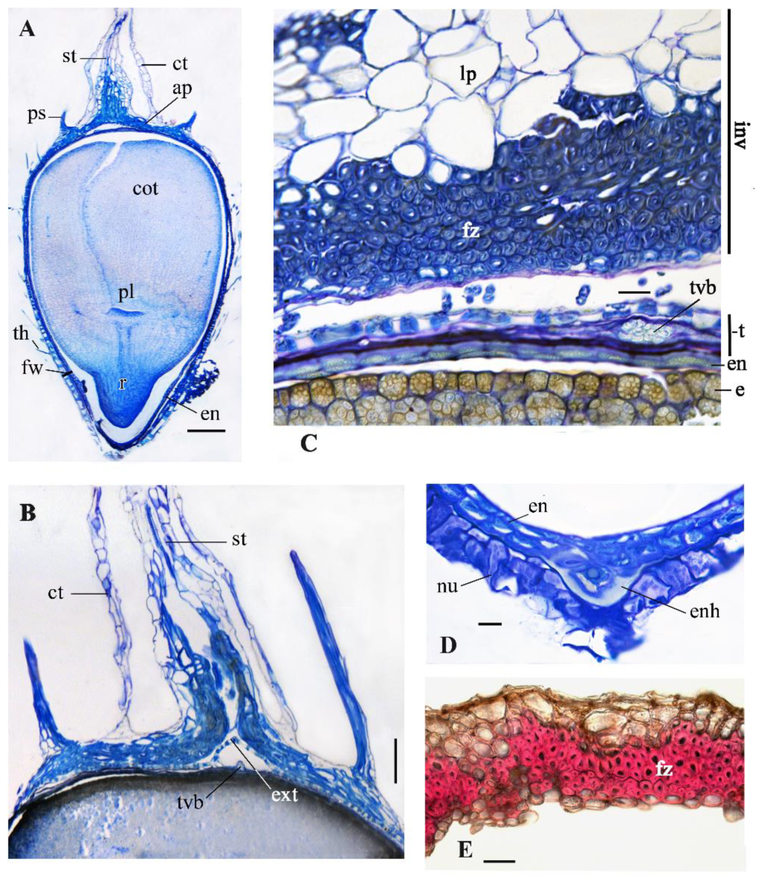 Ijpb 14 00032 g007 Ijpb 14 00032 g007