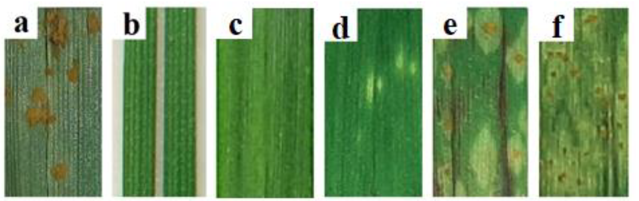 Ijpb 14 00034 g001 Ijpb 14 00034 g001