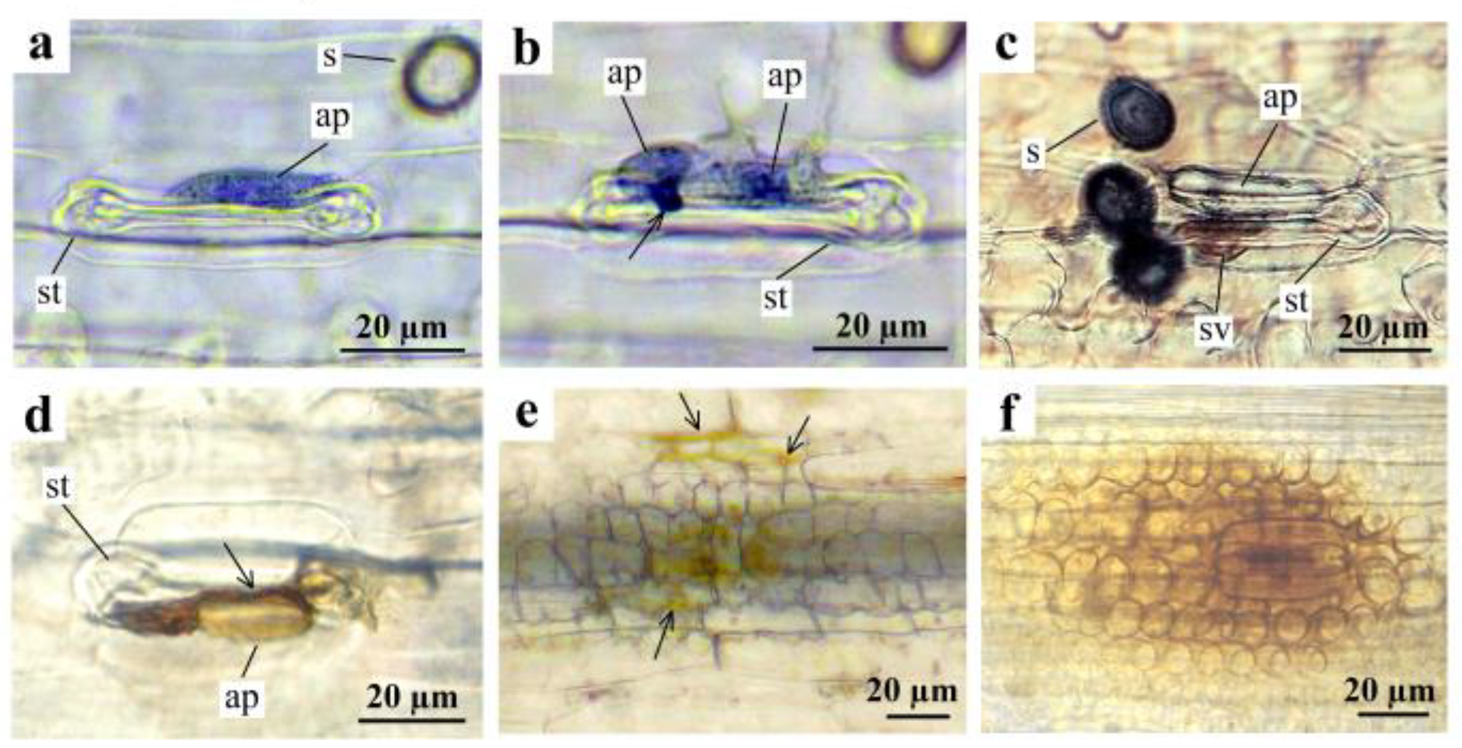 Ijpb 14 00034 g005 Ijpb 14 00034 g005