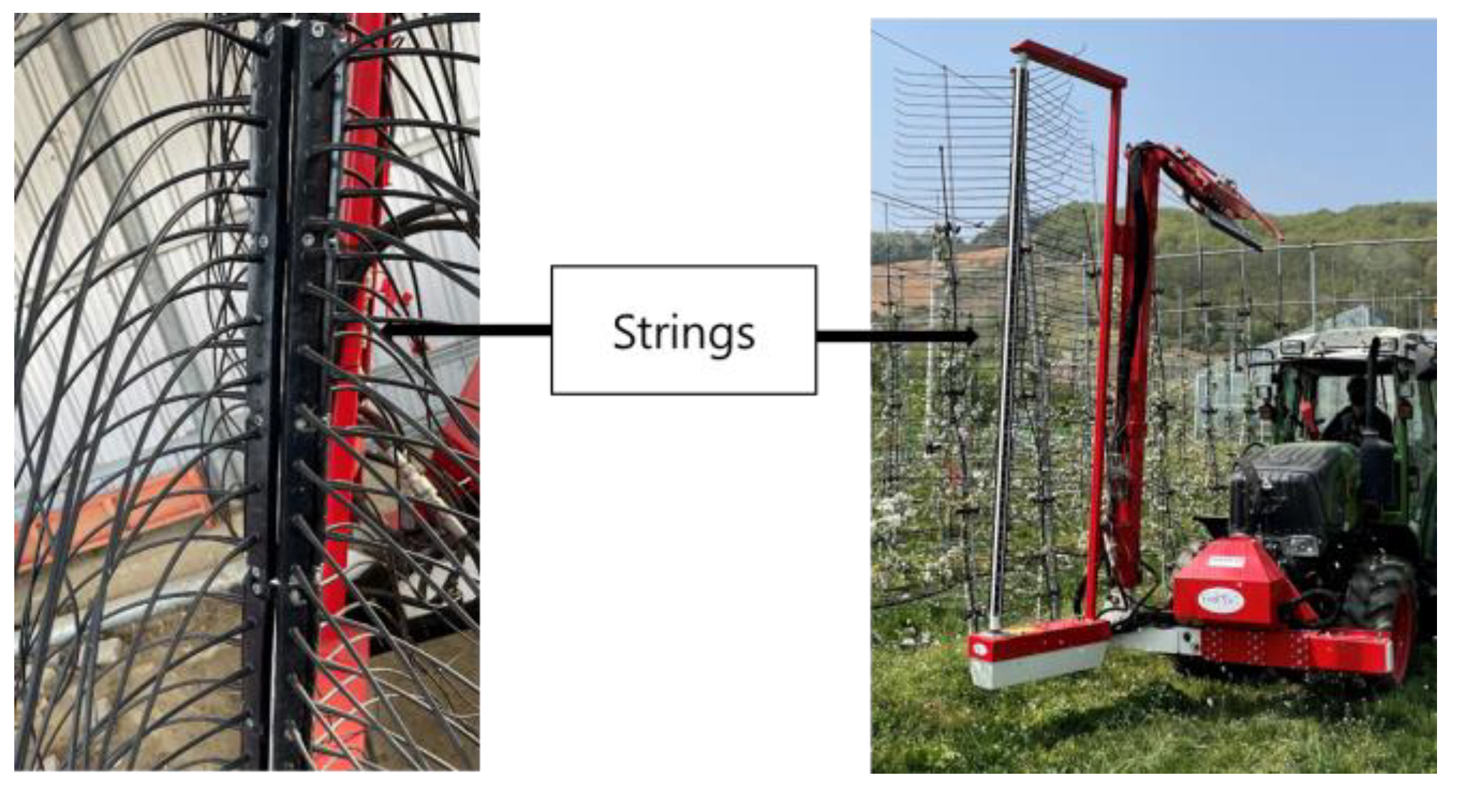 Ijpb 14 00039 g001 Ijpb 14 00039 g001