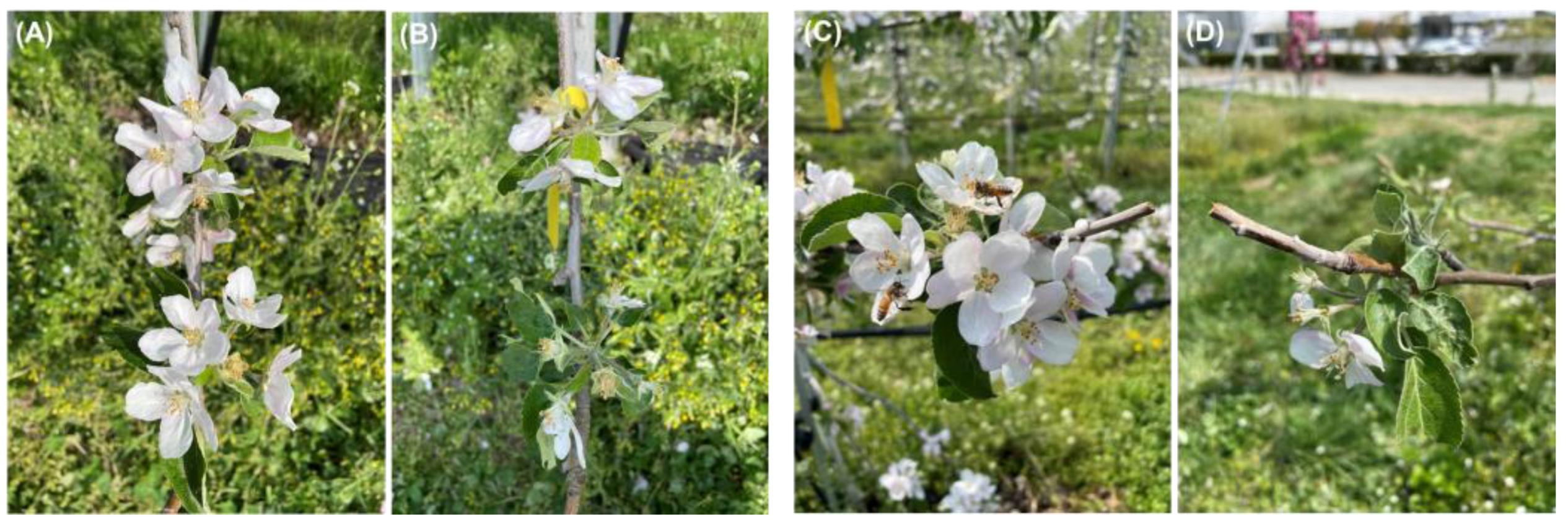 Ijpb 14 00039 g002 Ijpb 14 00039 g002