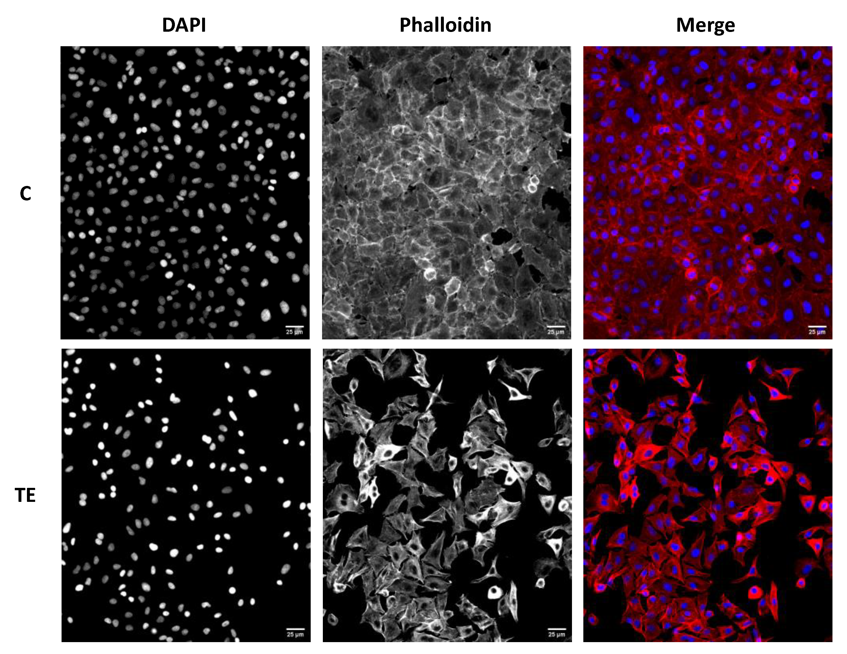 Ijpb 14 00041 g003 Ijpb 14 00041 g003