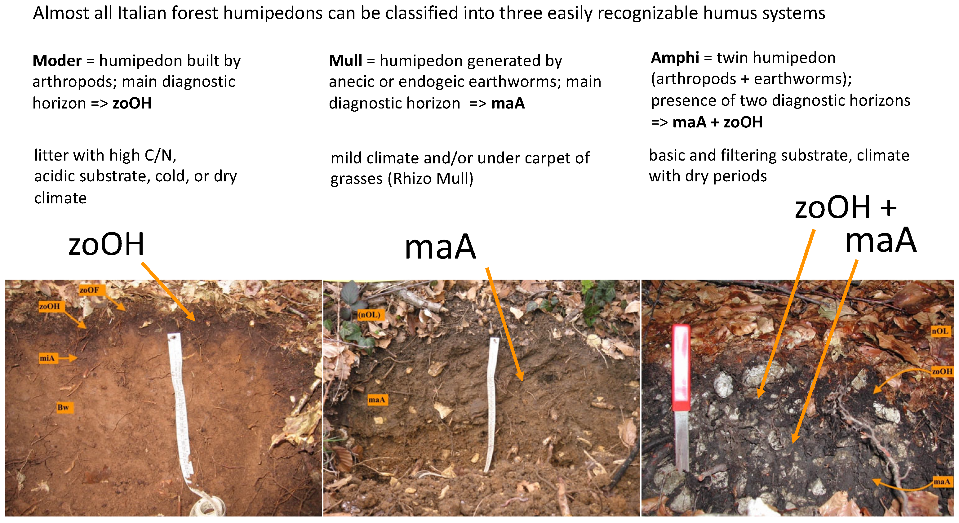 Ijpb 14 00045 g002 Ijpb 14 00045 g002