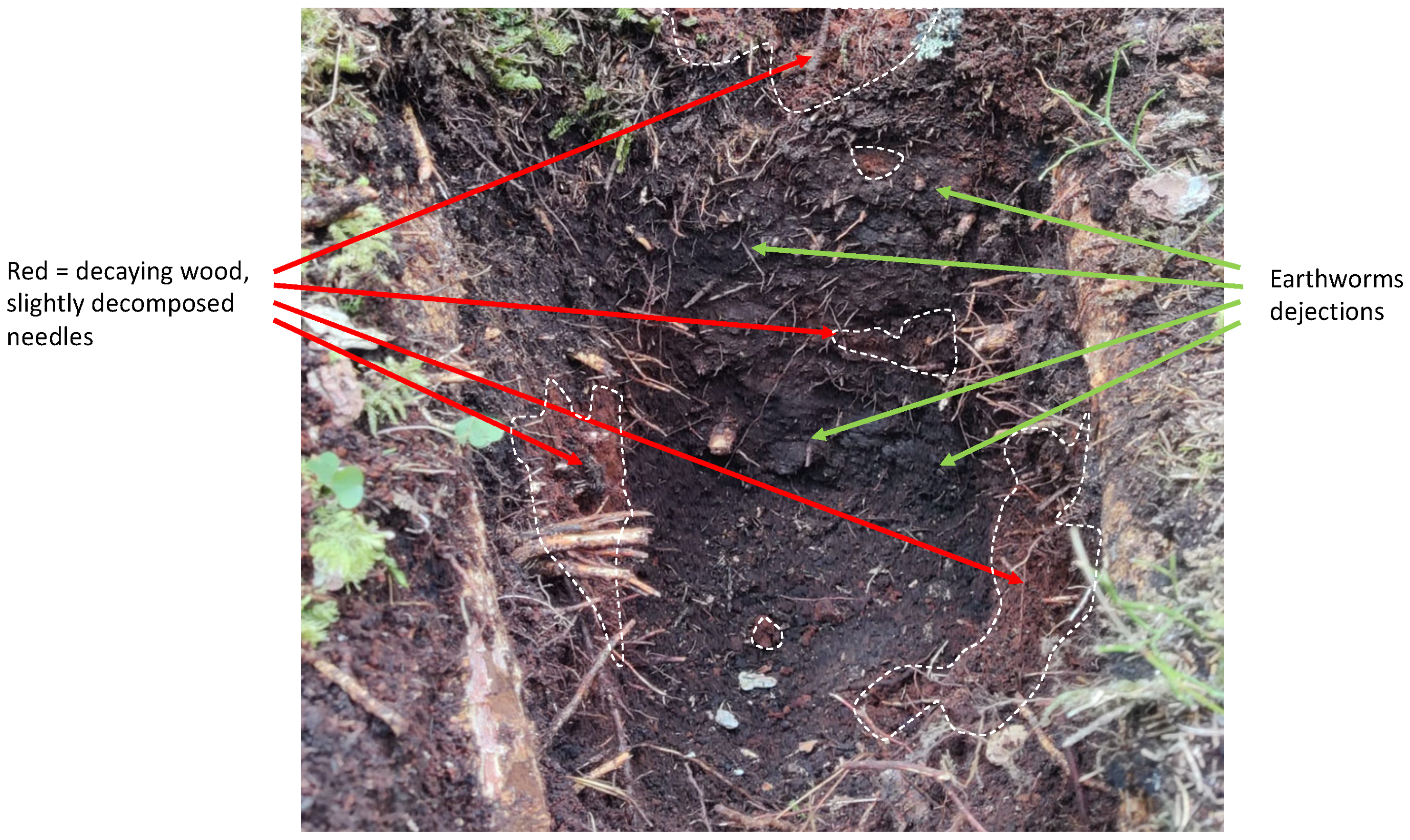 Ijpb 14 00045 g008 Ijpb 14 00045 g008