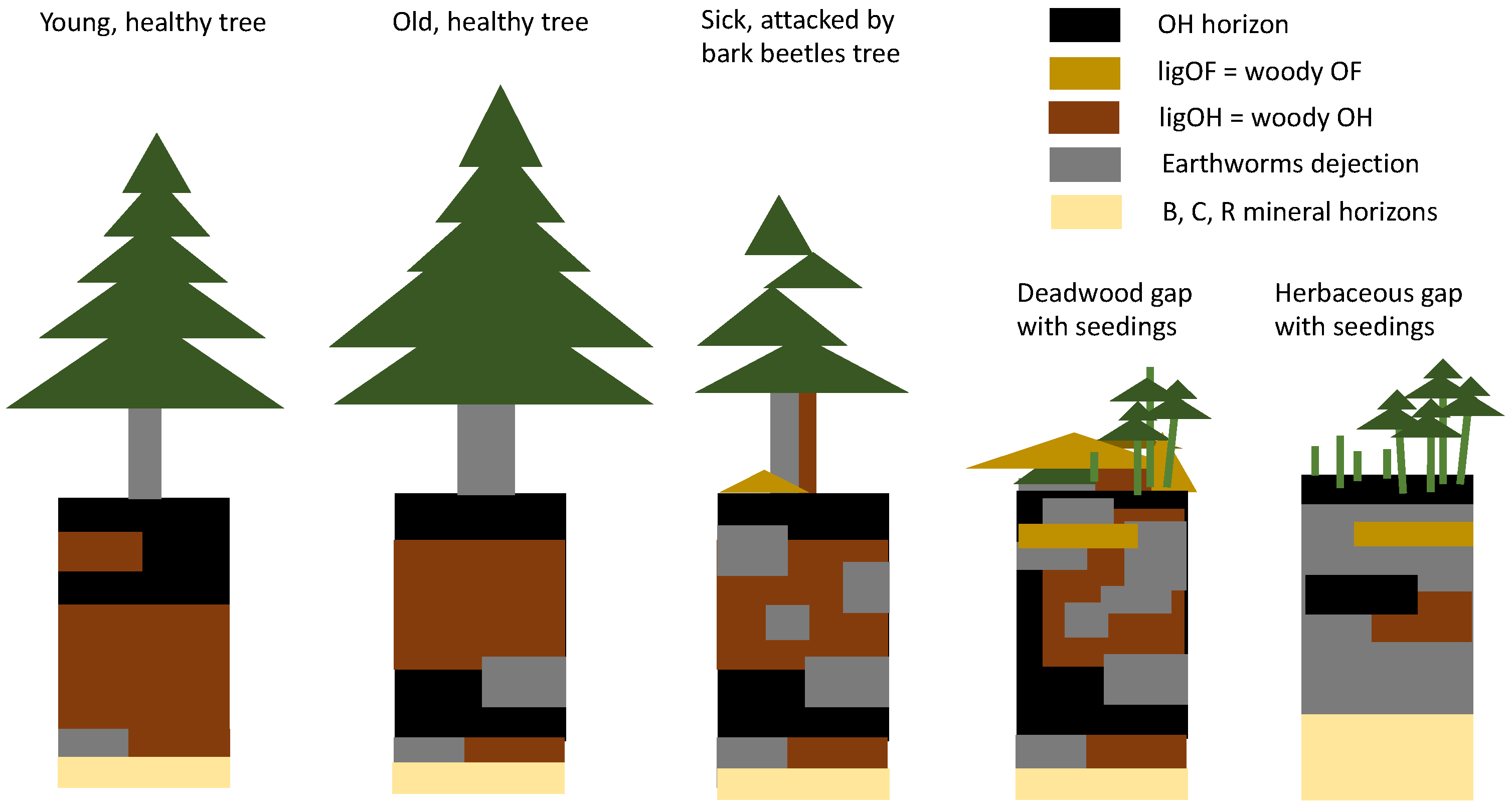 Ijpb 14 00045 g009 Ijpb 14 00045 g009