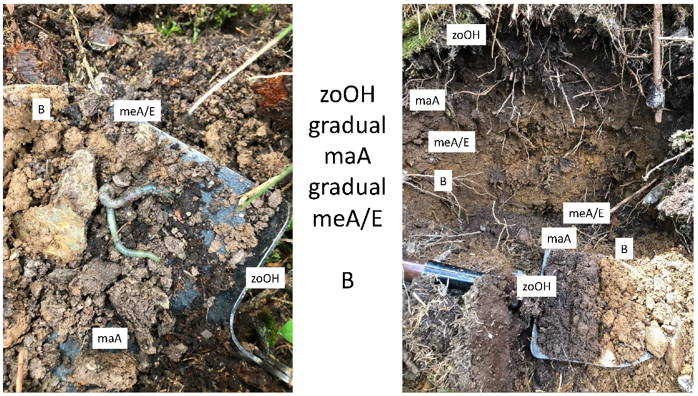 Ijpb 14 00045 g013 Ijpb 14 00045 g013