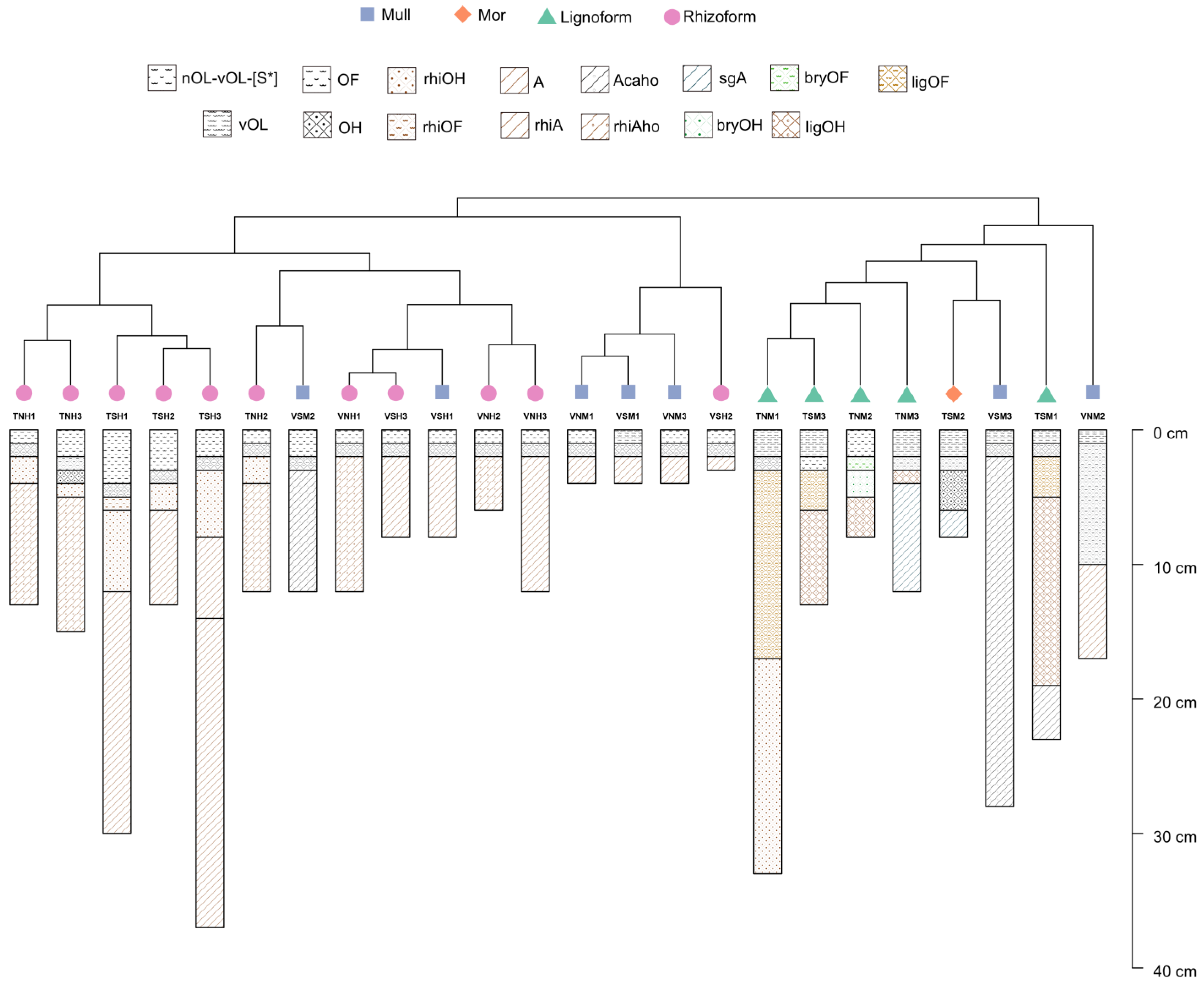 Ijpb 14 00054 g003 Ijpb 14 00054 g003