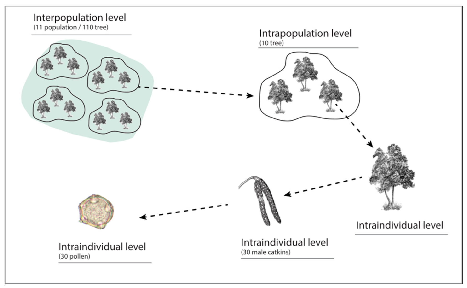 Ijpb 14 00059 g002 Ijpb 14 00059 g002