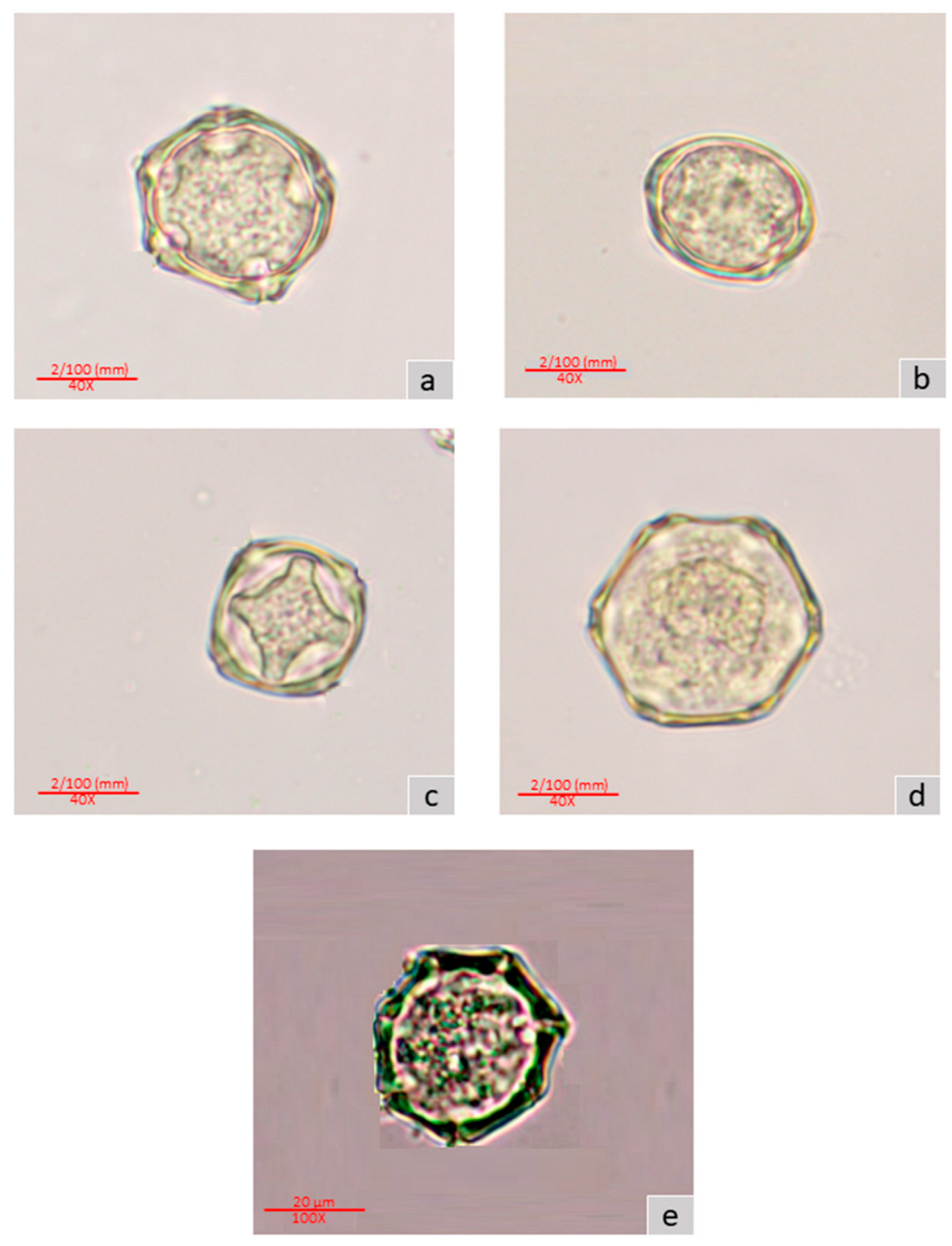 Ijpb 14 00059 g003 Ijpb 14 00059 g003