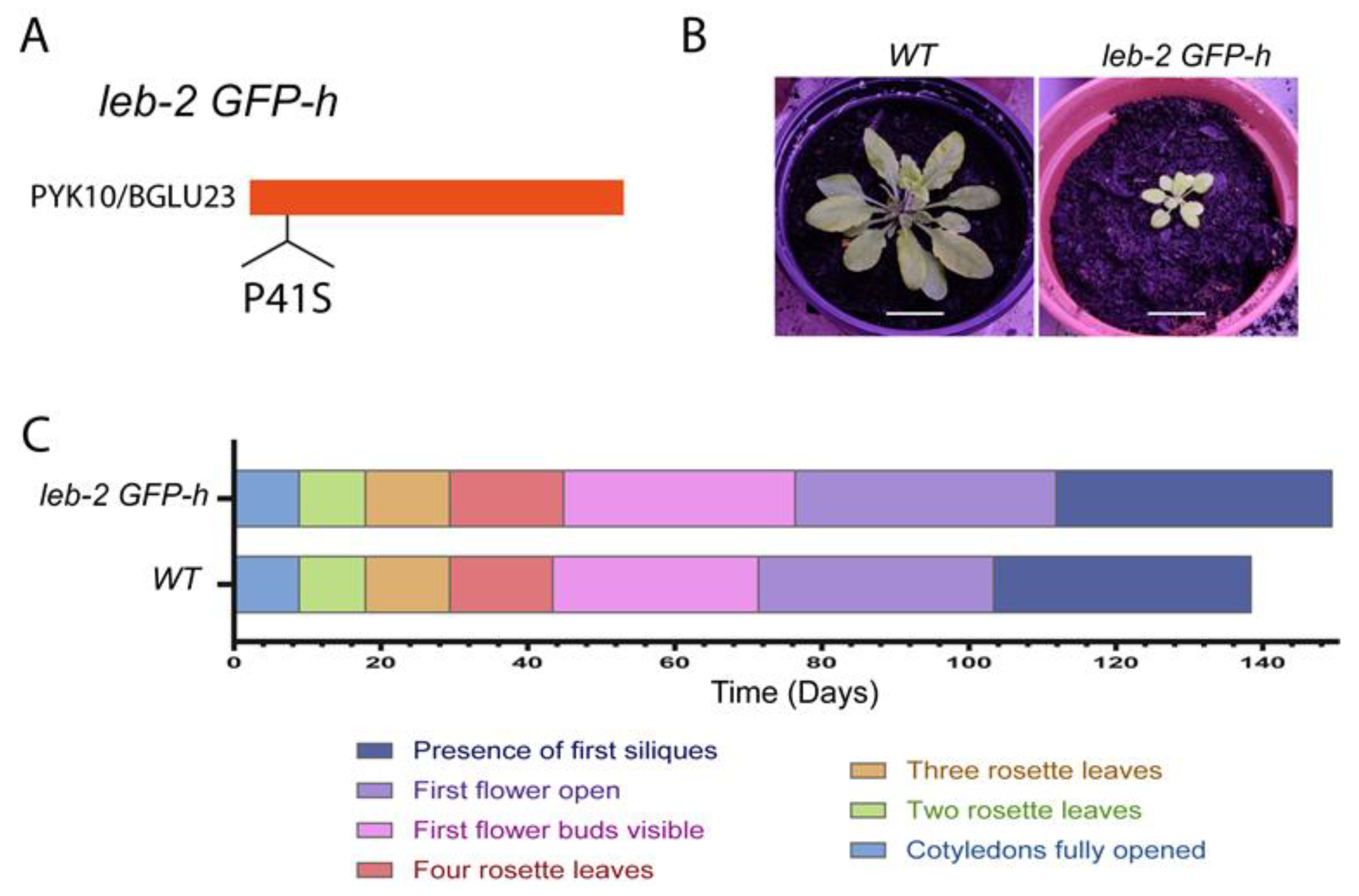 Ijpb 14 00075 g001 Ijpb 14 00075 g001