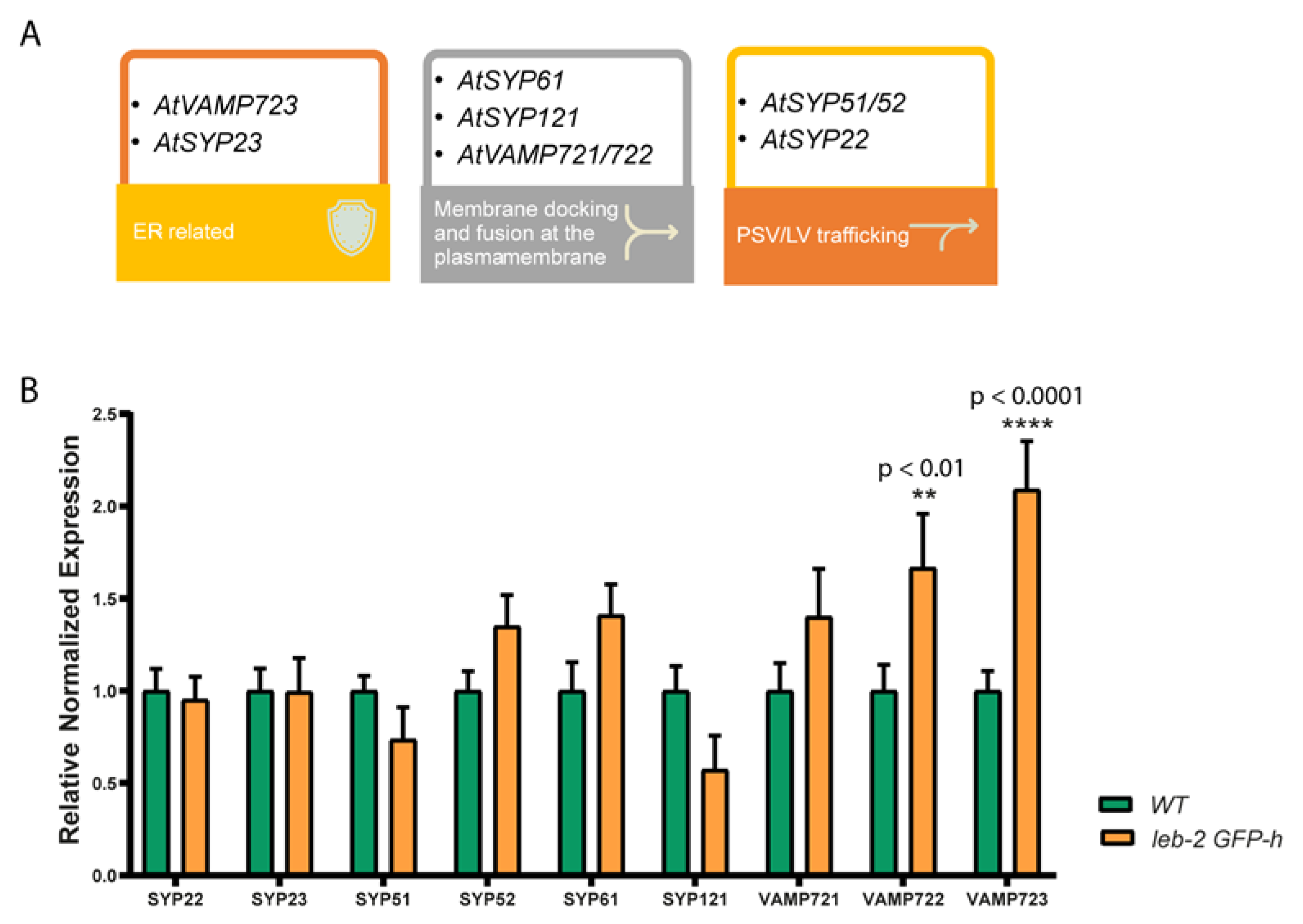 Ijpb 14 00075 g006 Ijpb 14 00075 g006