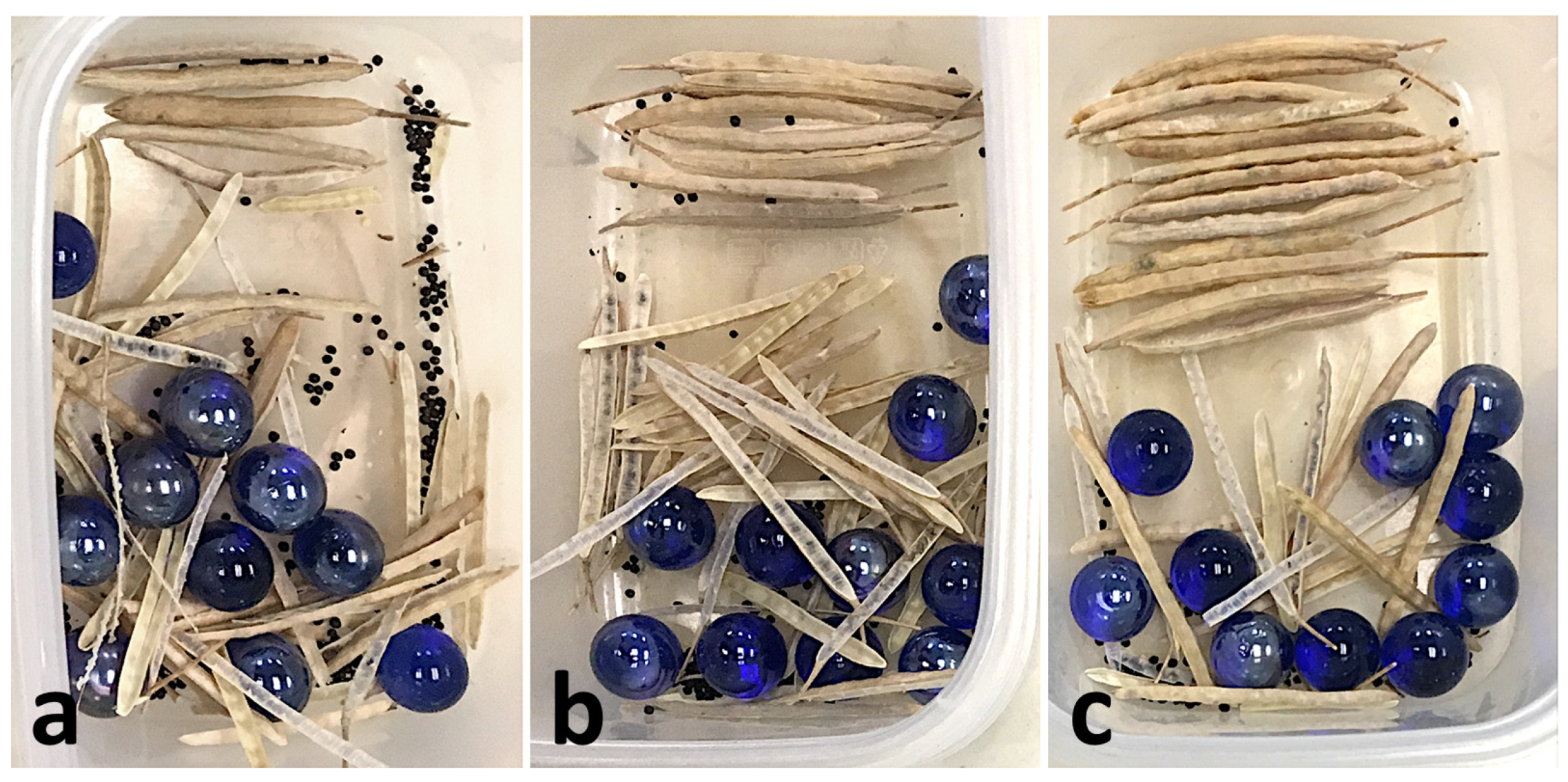 Ijpb 14 00077 g002 Ijpb 14 00077 g002