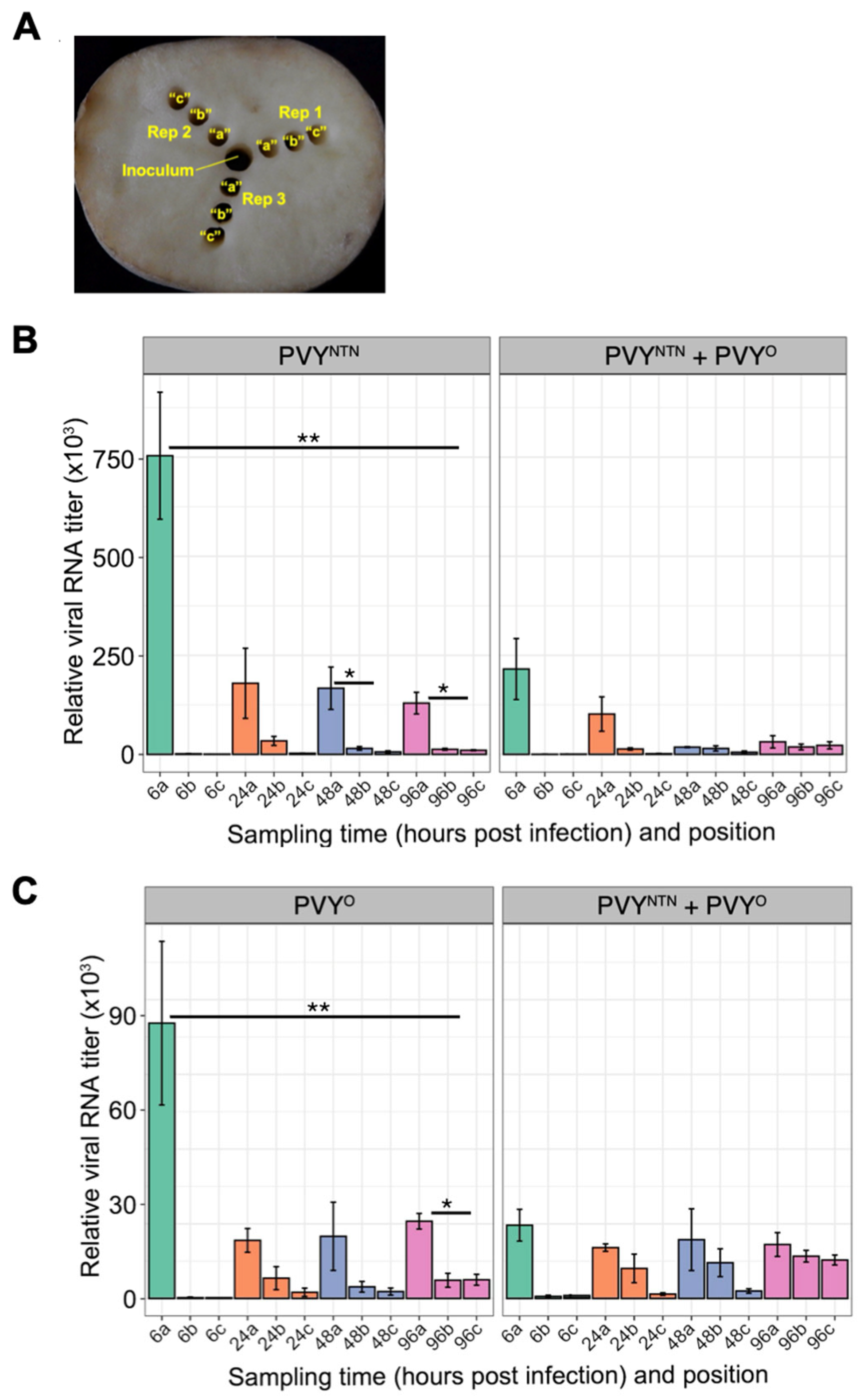 Ijpb 15 00032 g004 Ijpb 15 00032 g004