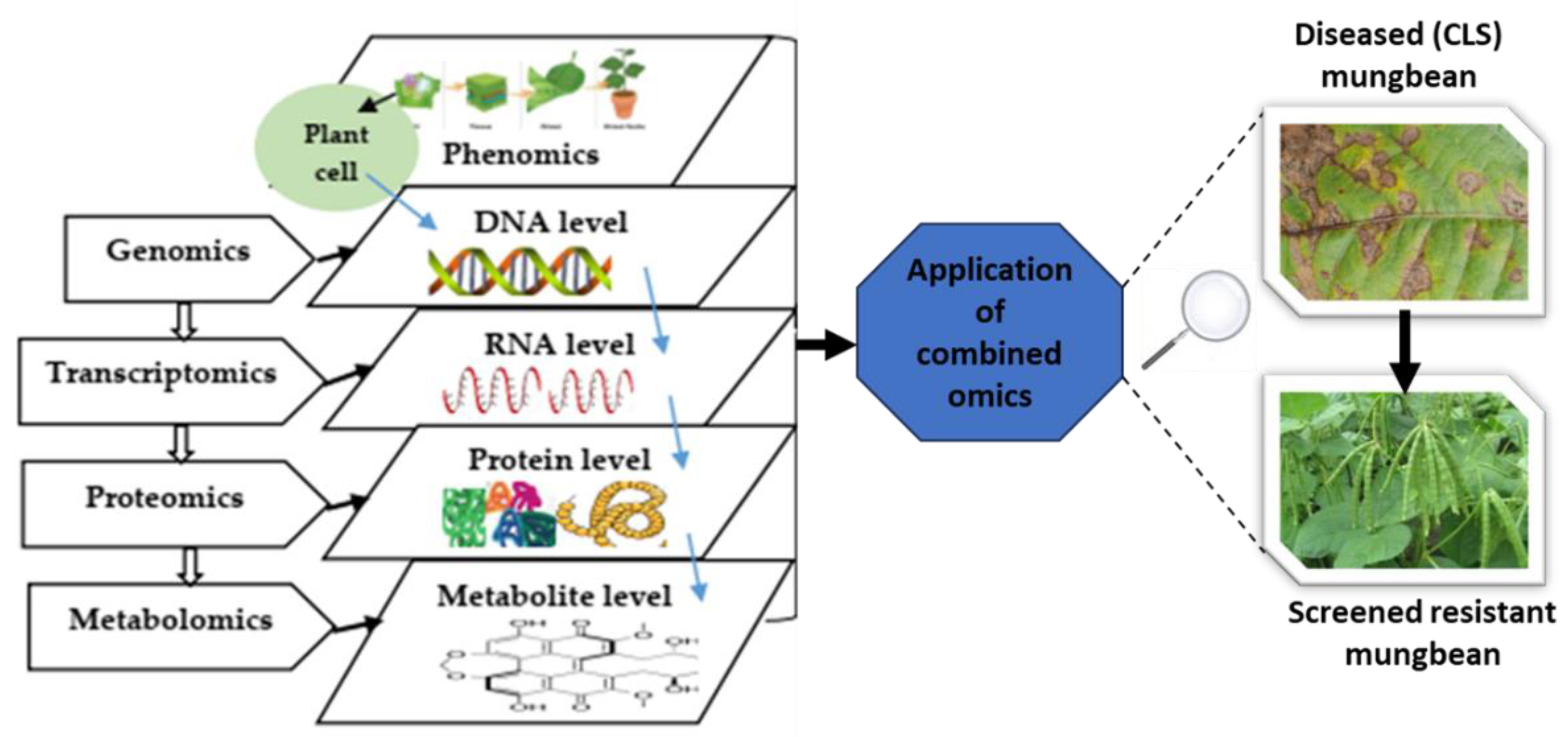 Ijpb 15 00037 g001 Ijpb 15 00037 g001