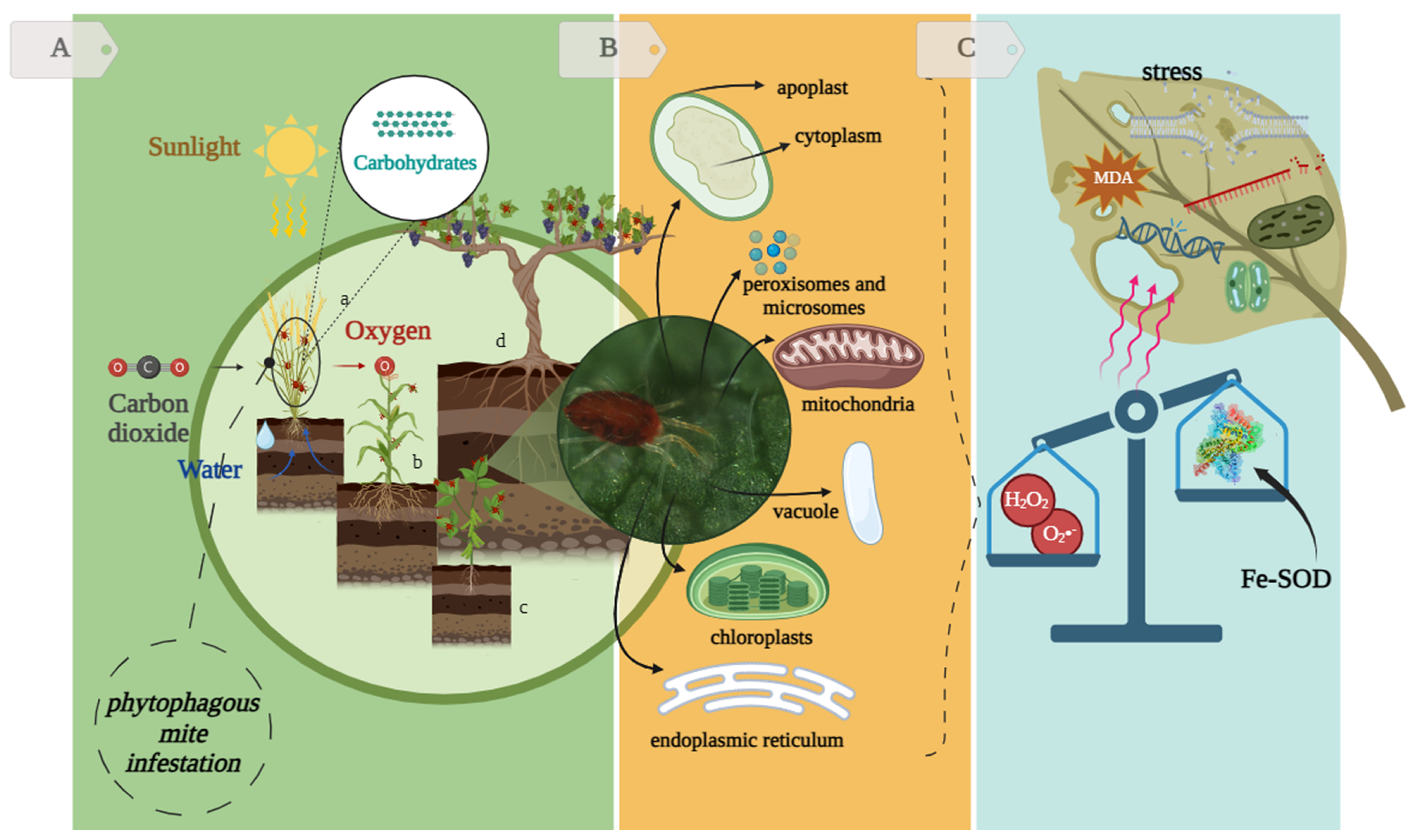 Ijpb 15 00043 g001 Ijpb 15 00043 g001
