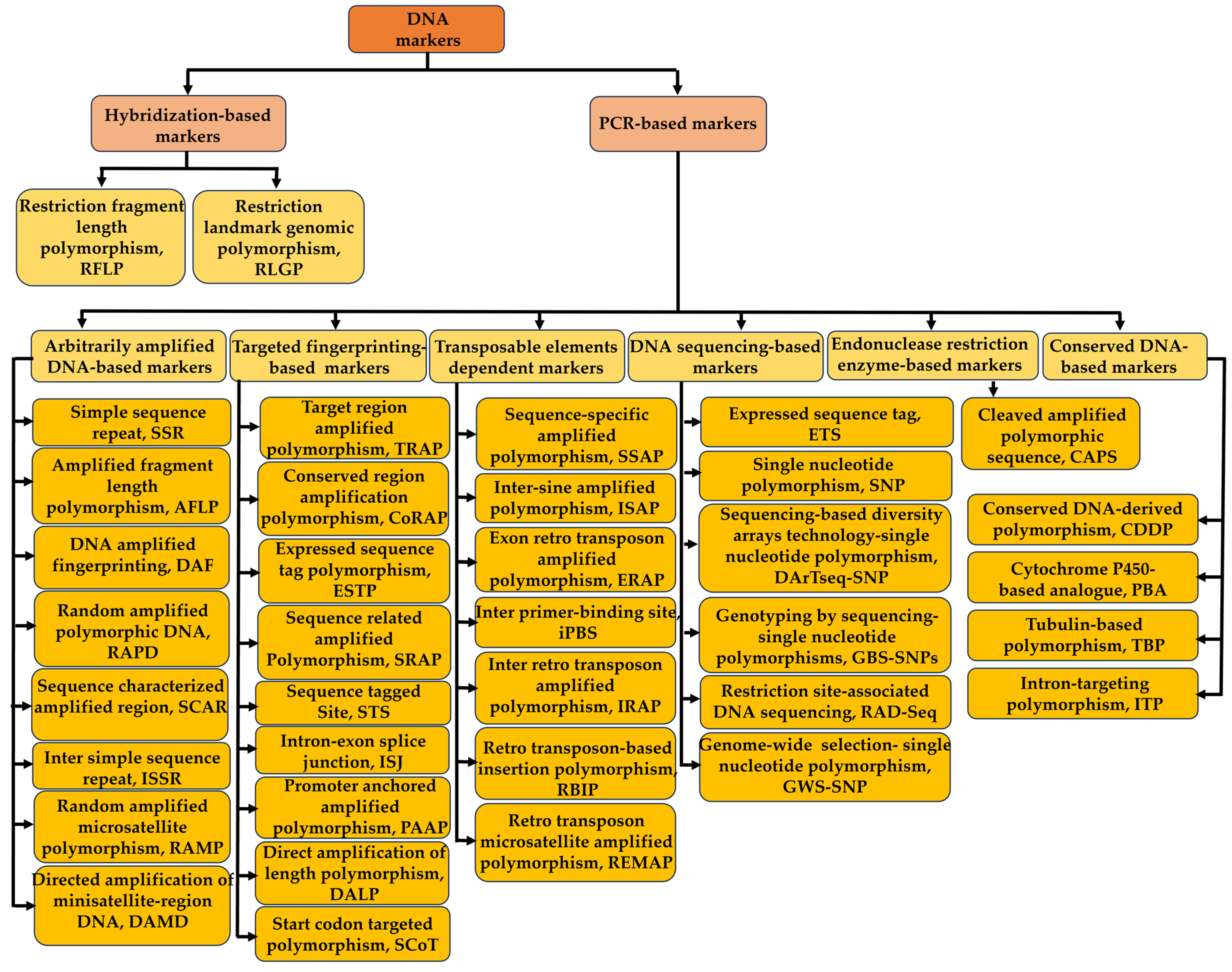 Ijpb 15 00046 g001 Ijpb 15 00046 g001