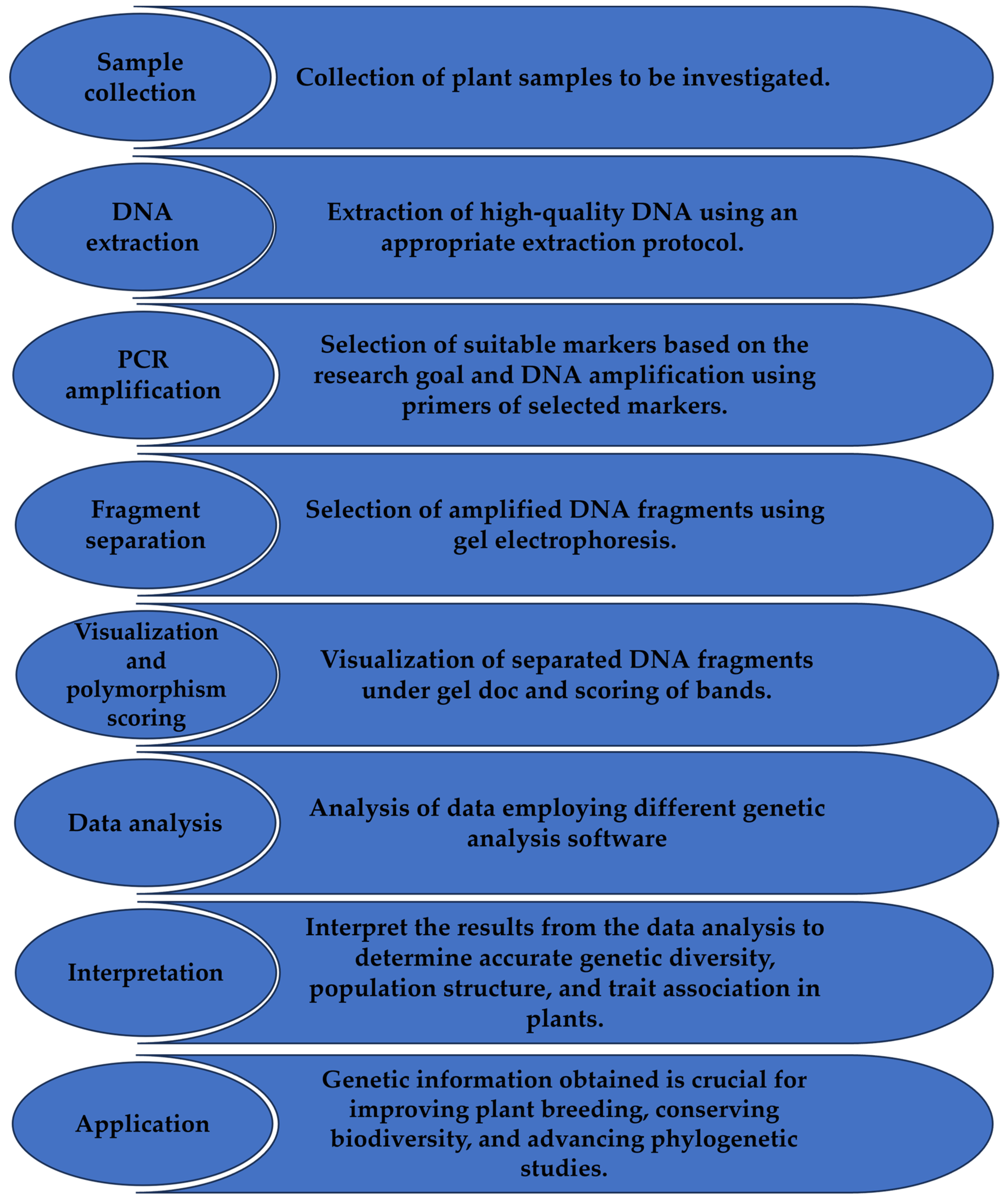 Ijpb 15 00046 g002 Ijpb 15 00046 g002
