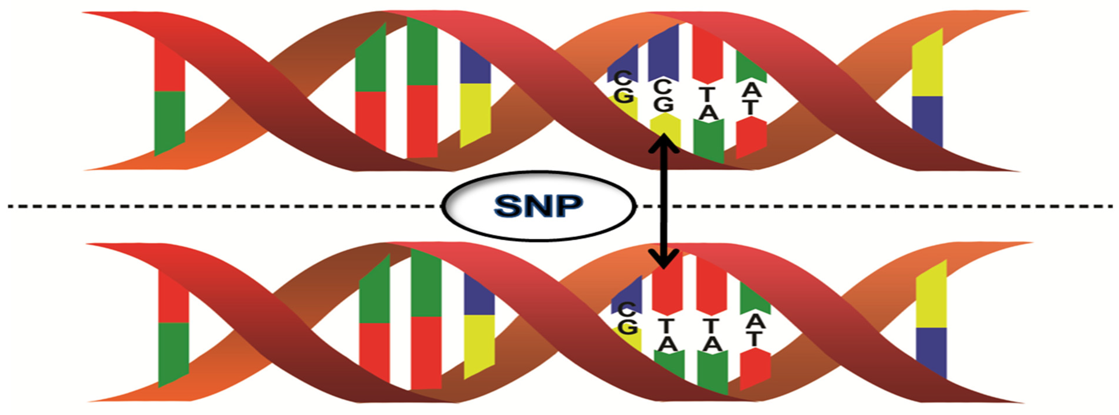 Ijpb 15 00046 g003 Ijpb 15 00046 g003