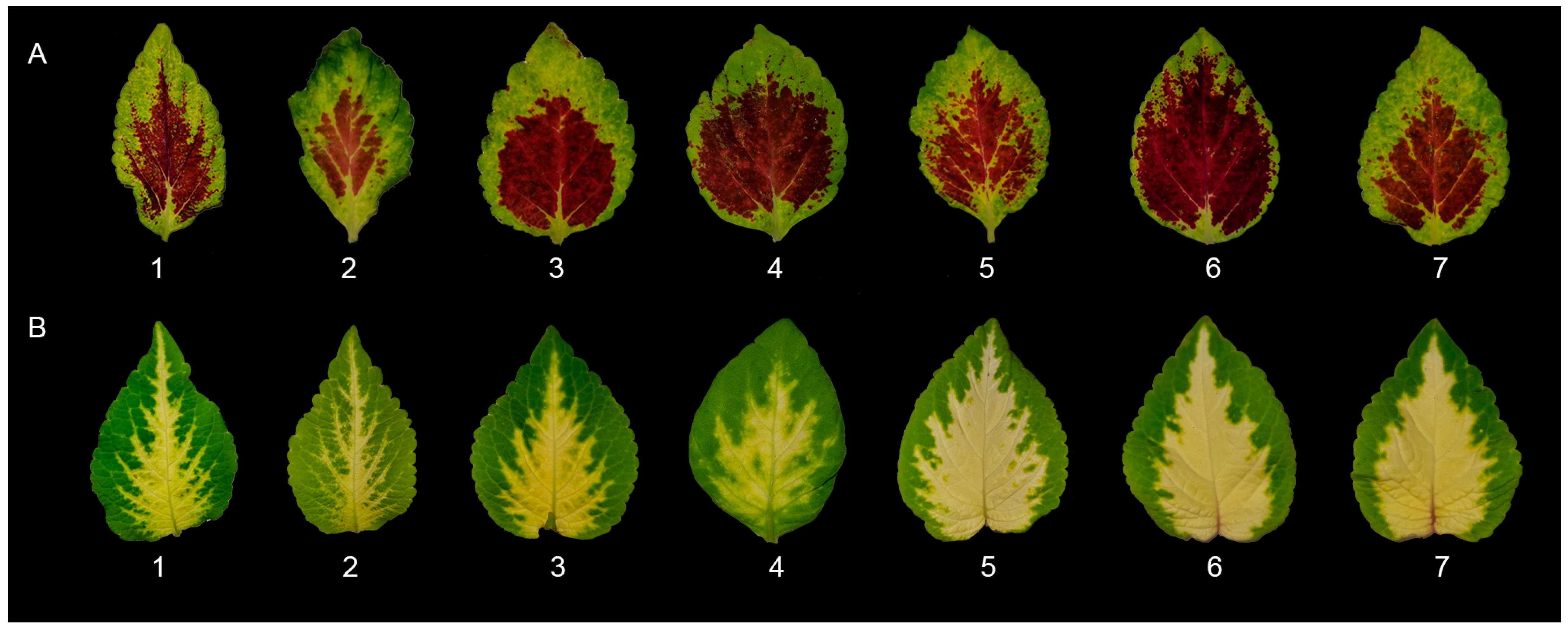 Ijpb 15 00058 g004 Ijpb 15 00058 g004