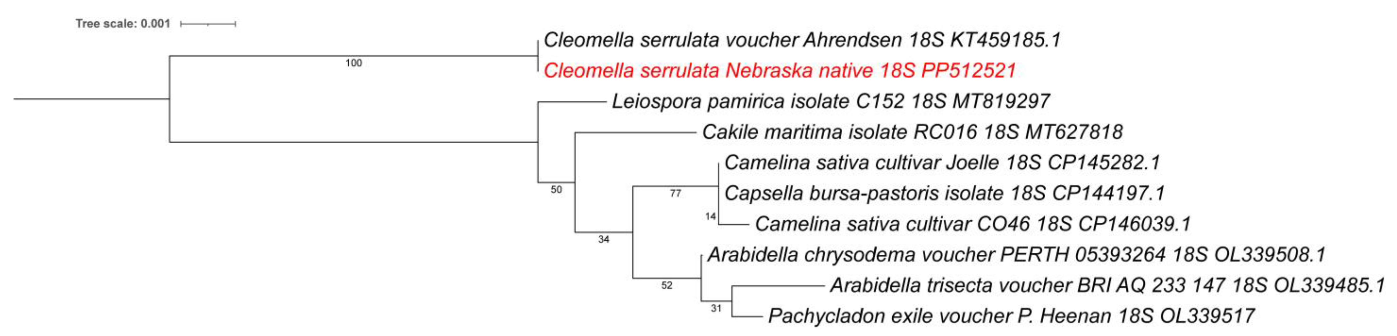 Ijpb 15 00065 g005 Ijpb 15 00065 g005