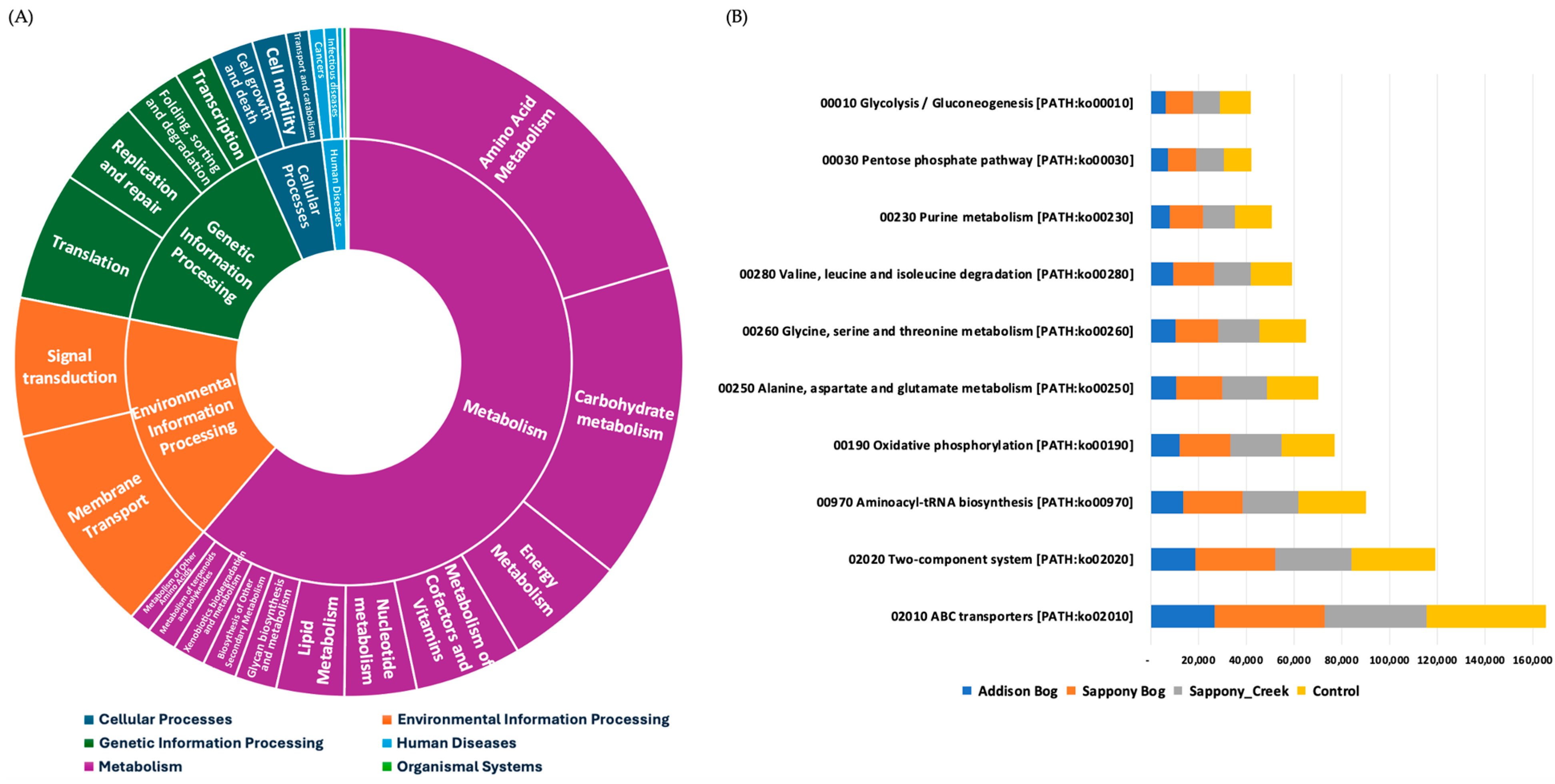 Ijpb 15 00097 g004 Ijpb 15 00097 g004