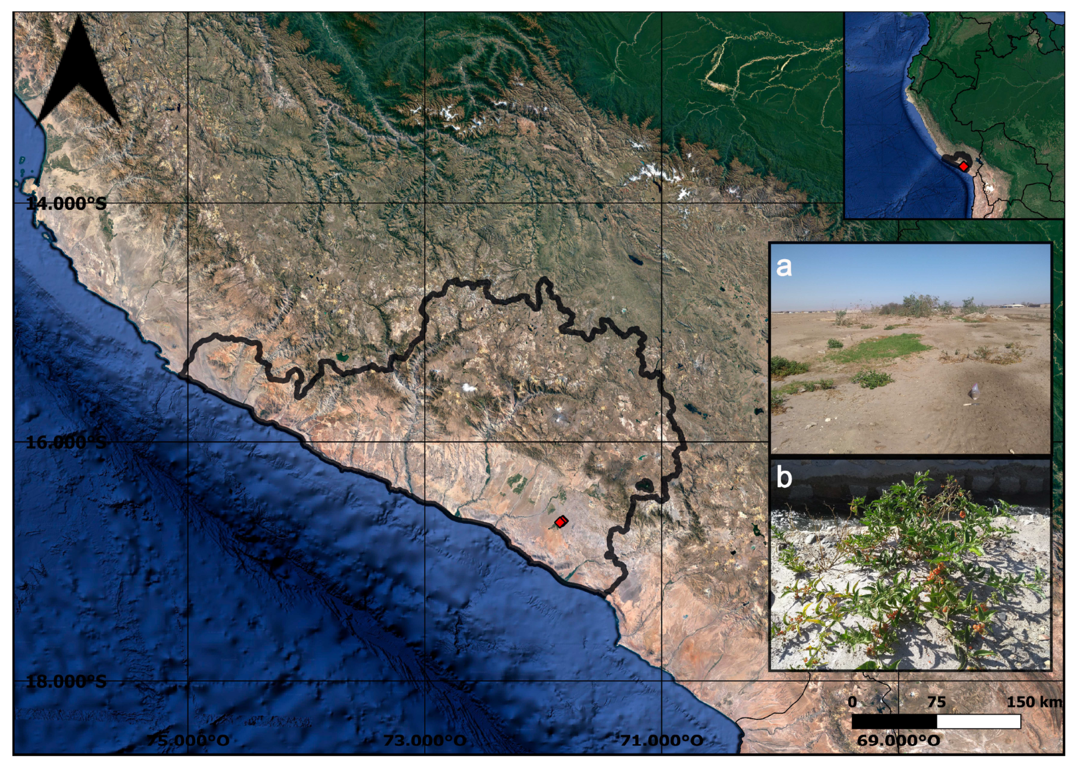 Ijpb 16 00015 g001 Ijpb 16 00015 g001