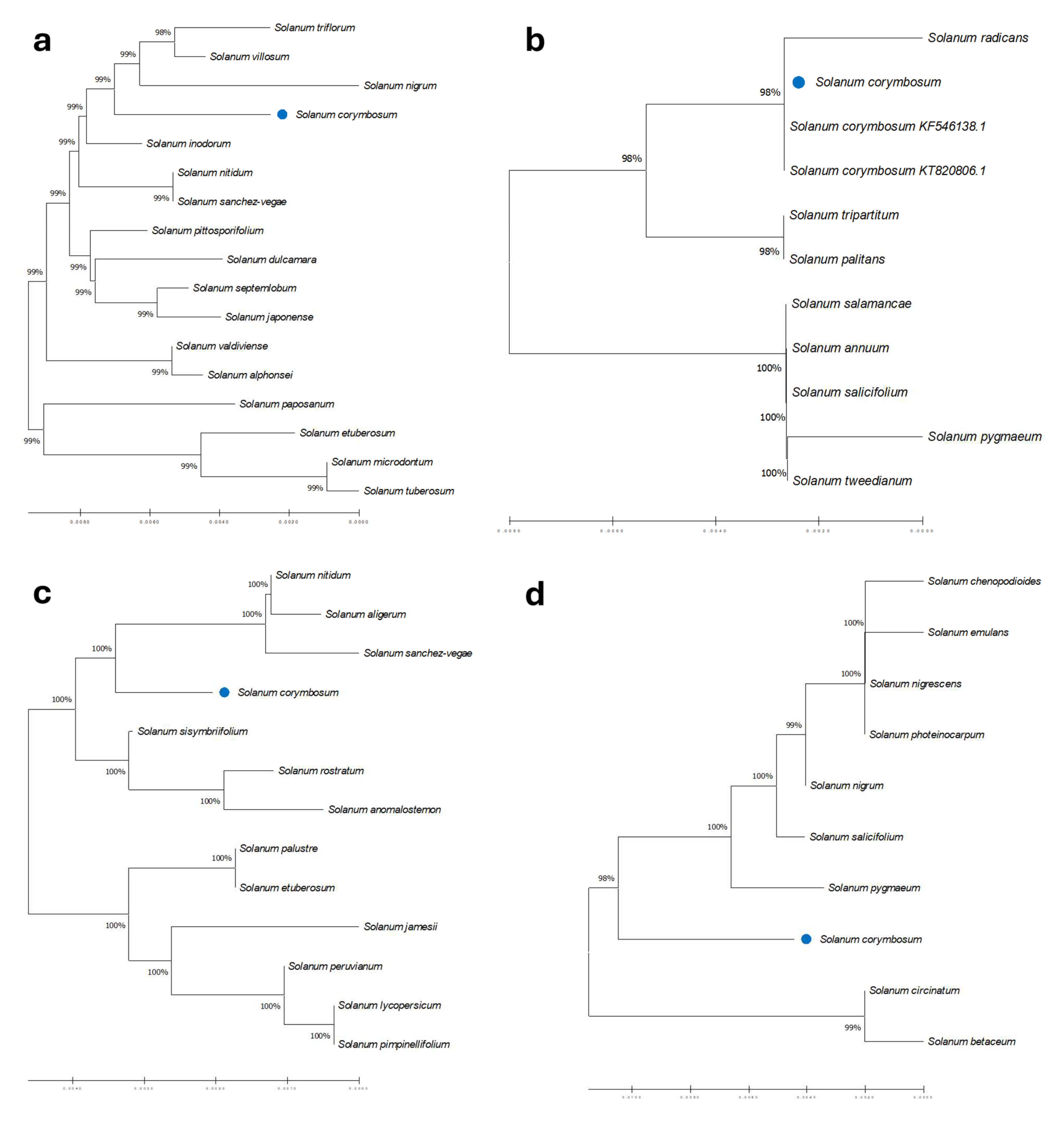 Ijpb 16 00015 g003 Ijpb 16 00015 g003