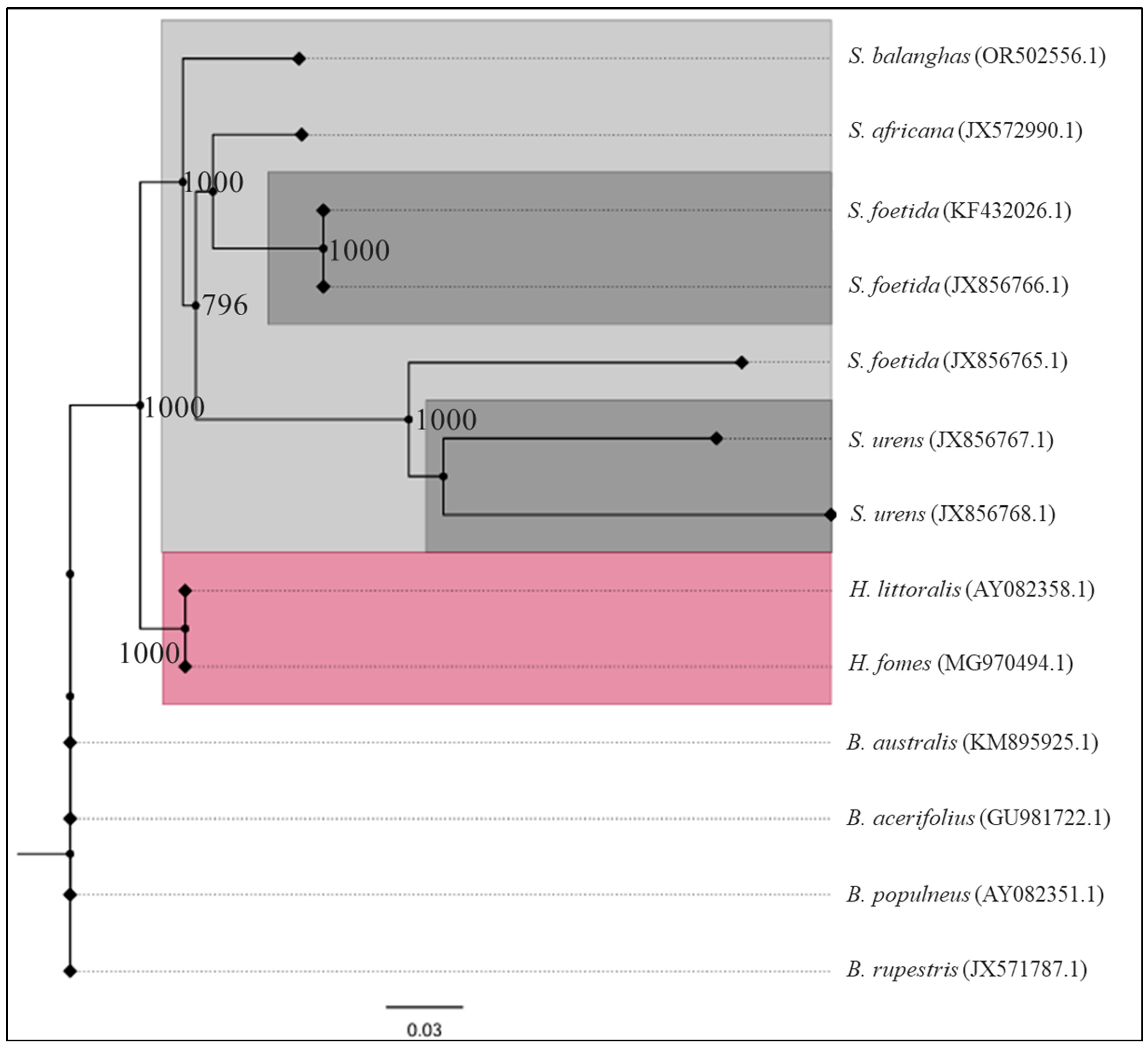 Ijpb 16 00018 g007 Ijpb 16 00018 g007