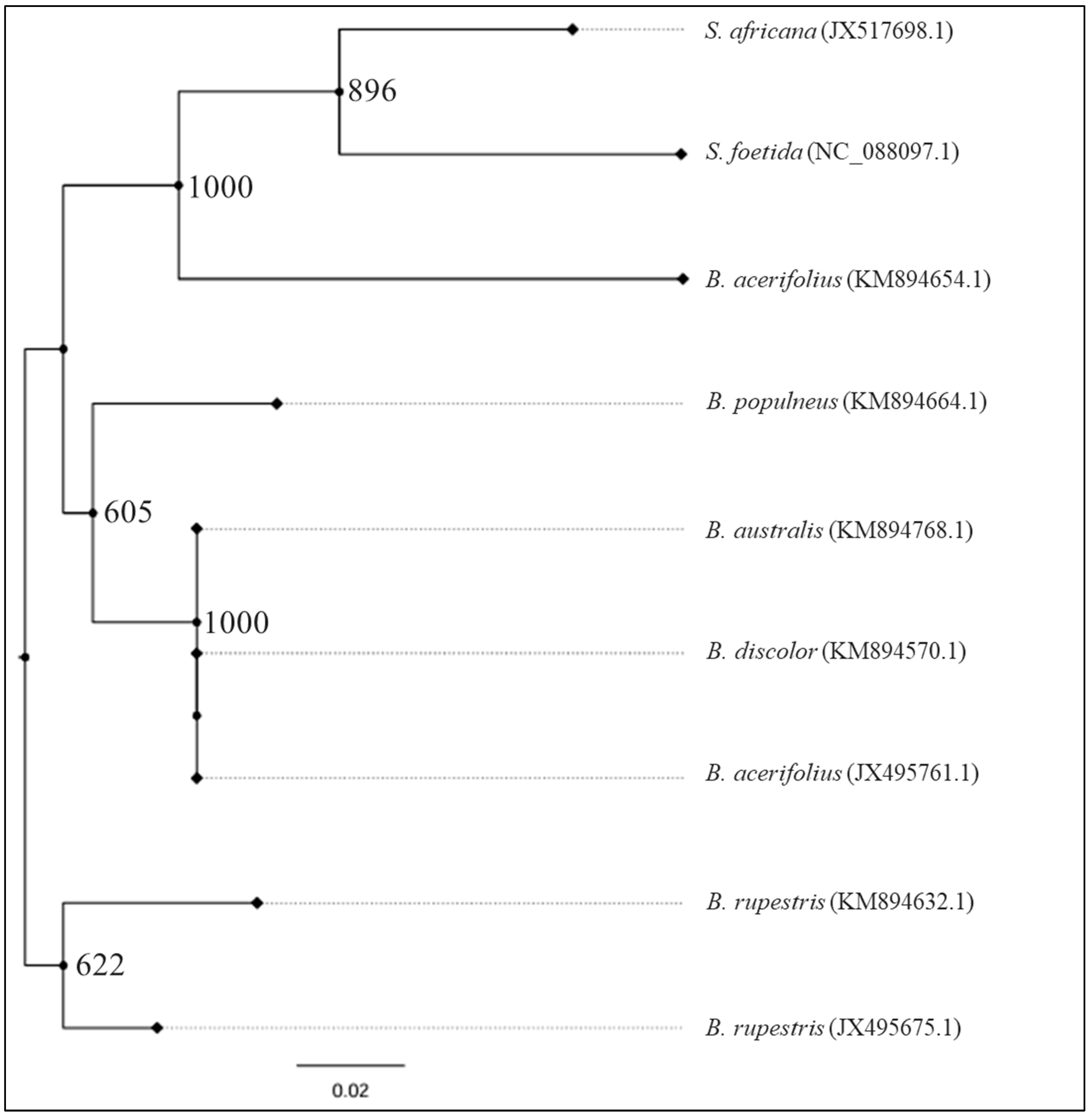 Ijpb 16 00018 g008 Ijpb 16 00018 g008