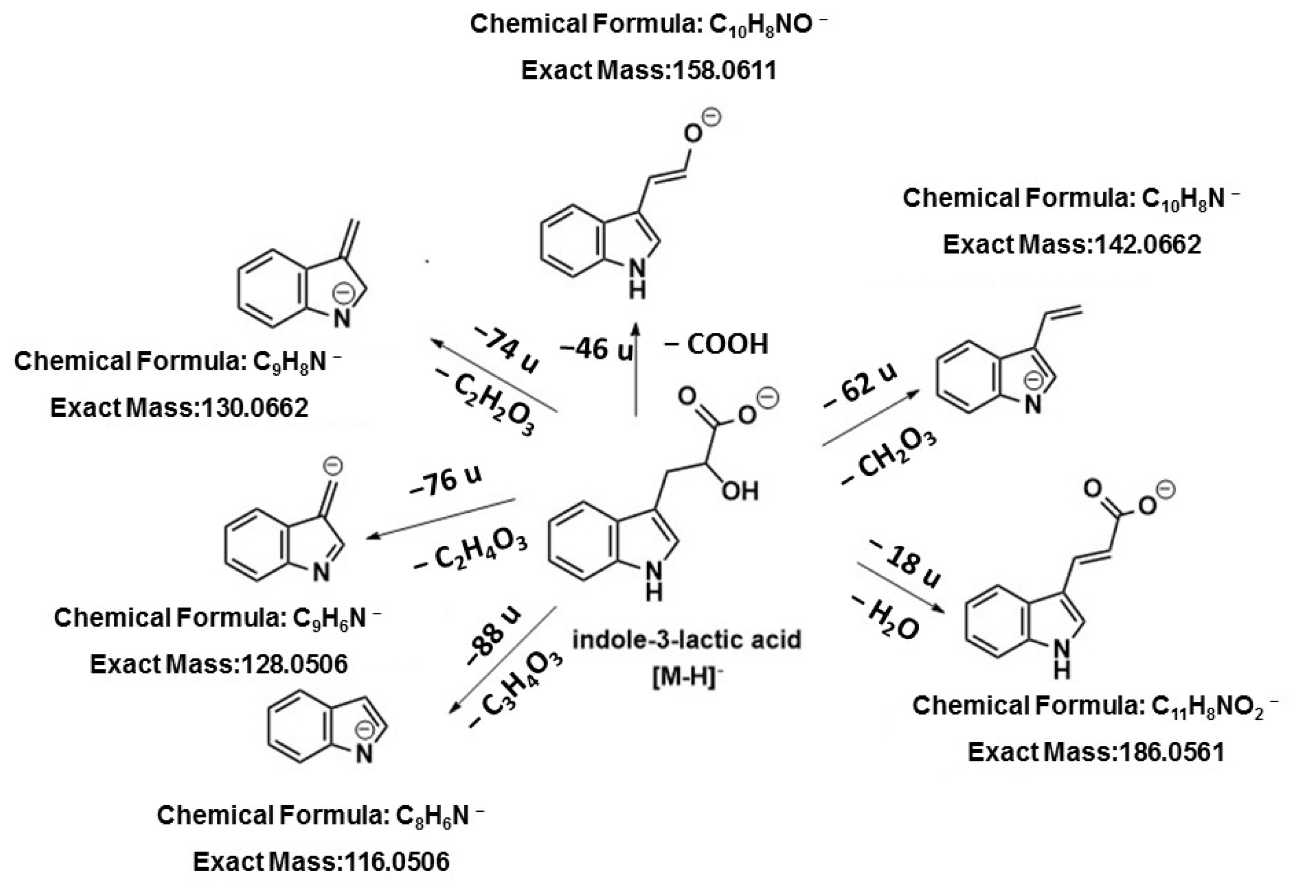 Ijpb 16 00037 sch001