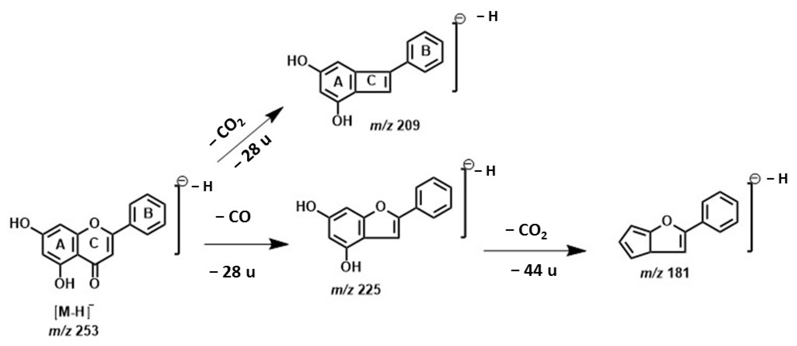 Ijpb 16 00037 sch002