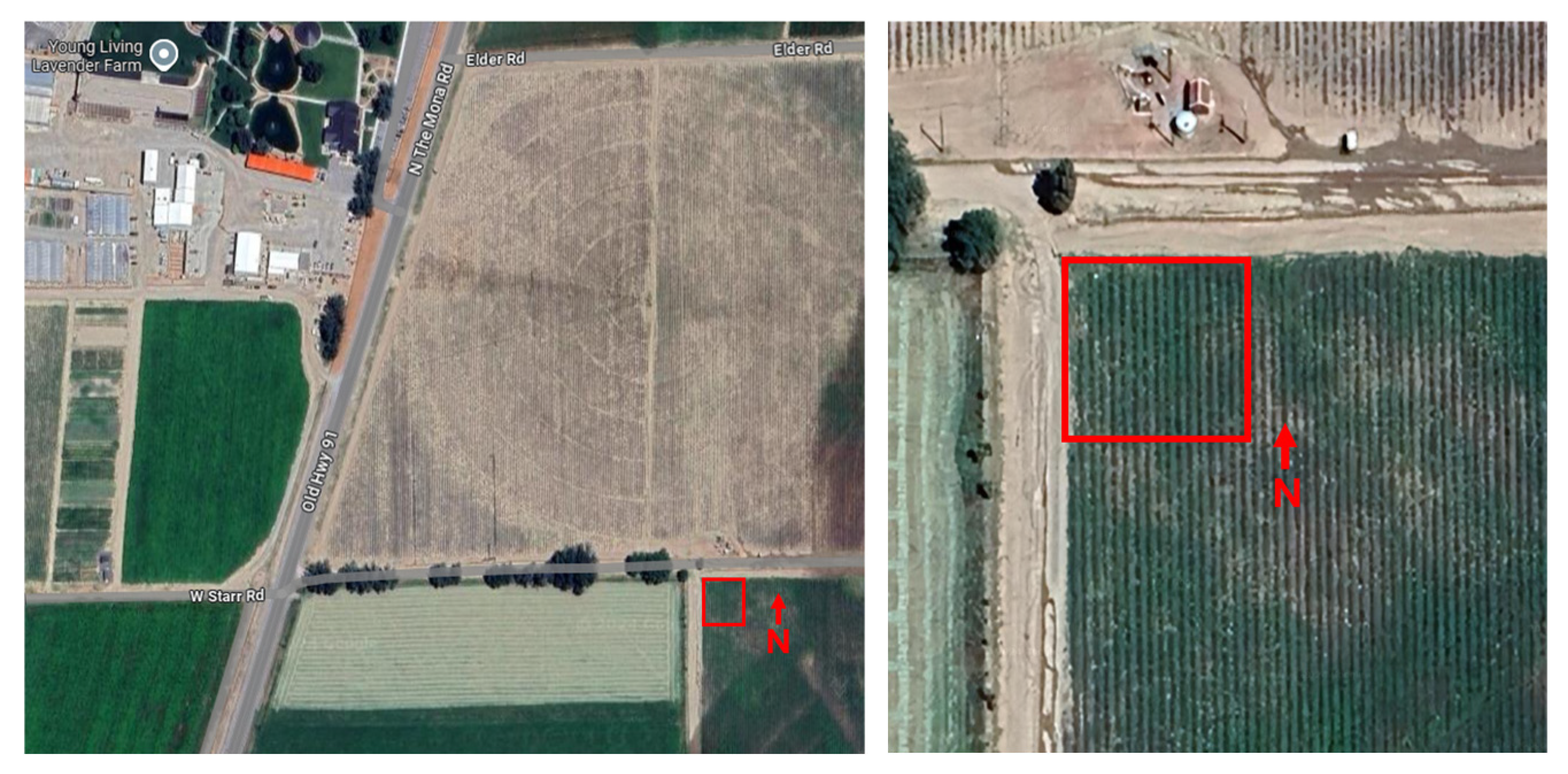 Ijpb 16 00072 g001 Ijpb 16 00072 g001