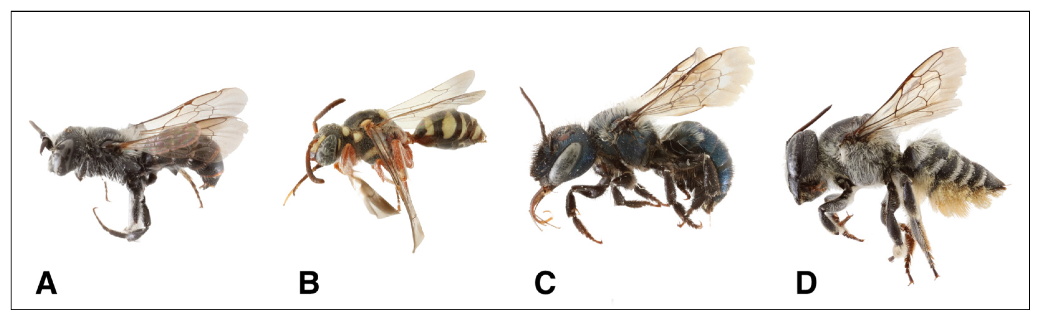 Ijpb 16 00072 g004 Ijpb 16 00072 g004