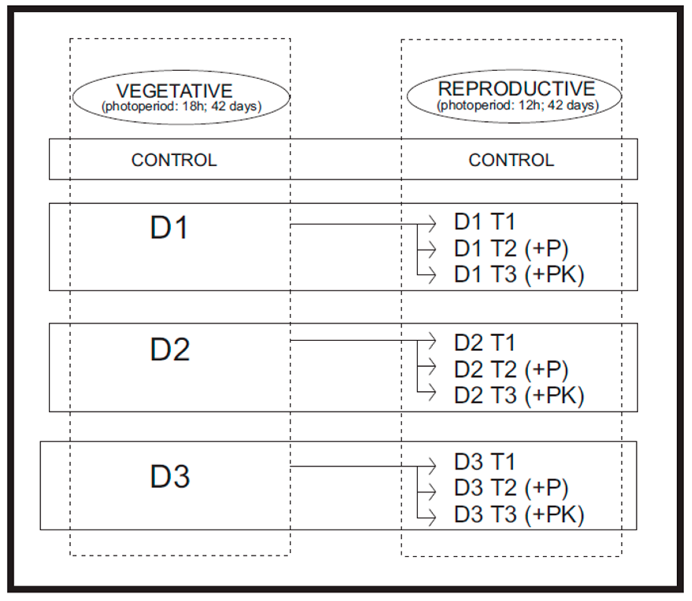 Ijpb 16 00092 g001 Ijpb 16 00092 g001