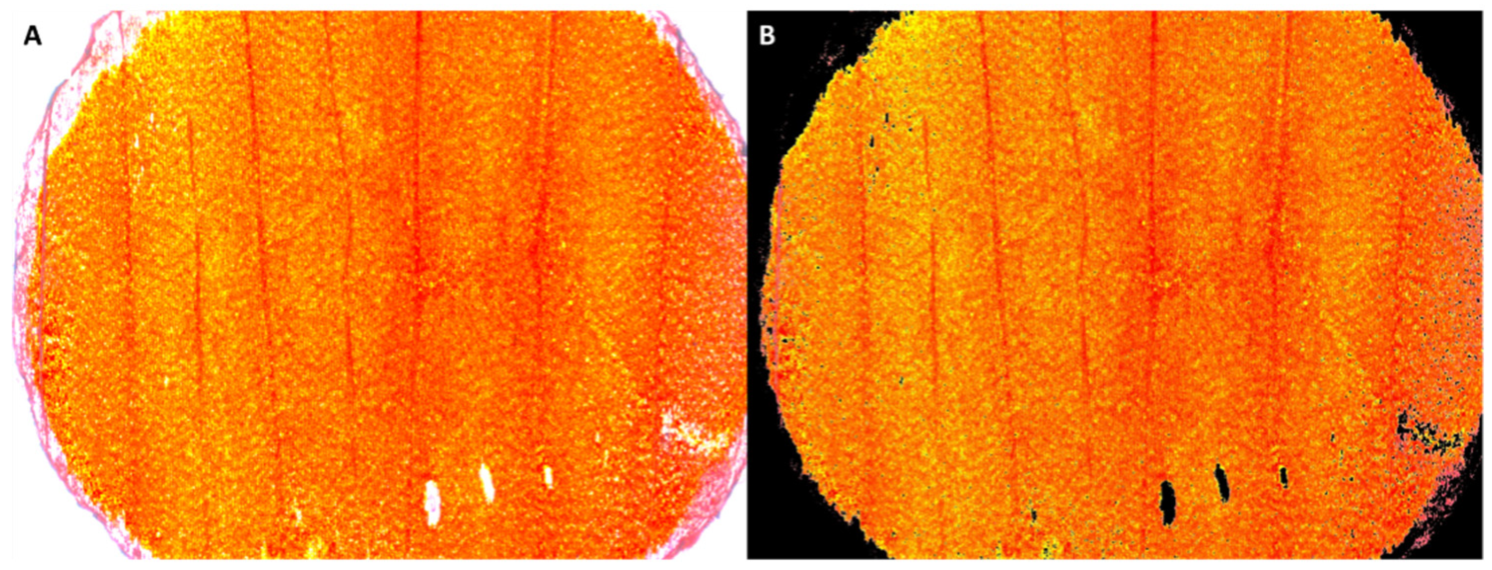 Ijpb 16 00099 g001 Ijpb 16 00099 g001