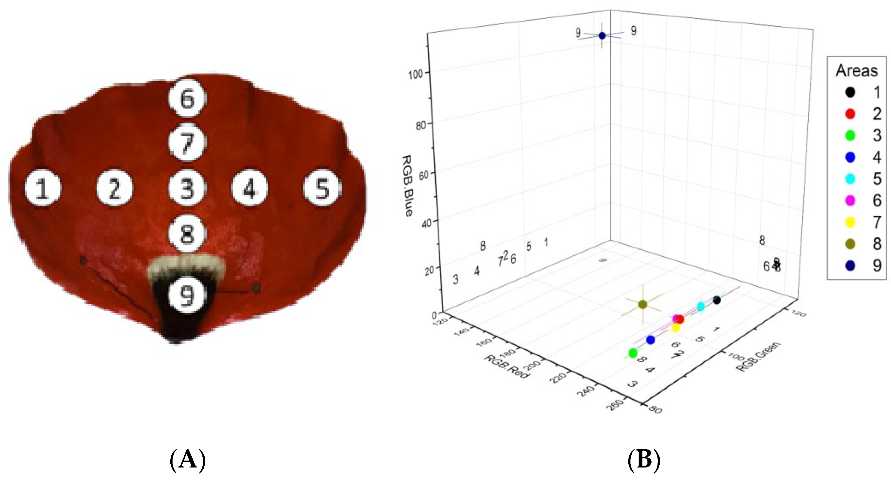 Ijpb 16 00099 g002 Ijpb 16 00099 g002