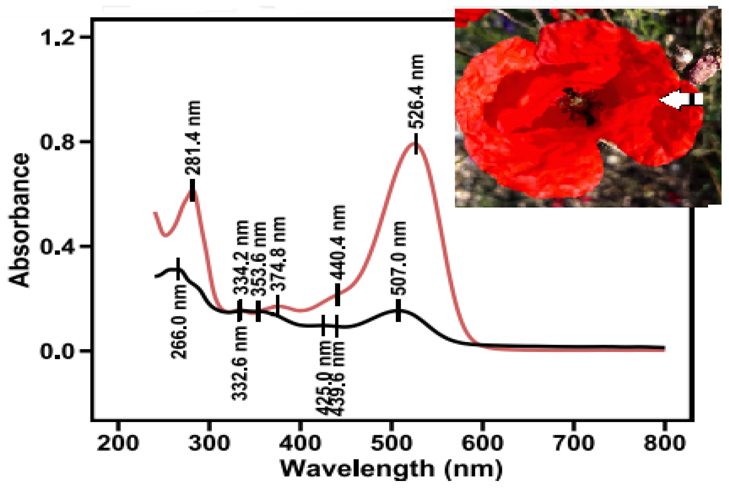 Ijpb 16 00099 g006 Ijpb 16 00099 g006