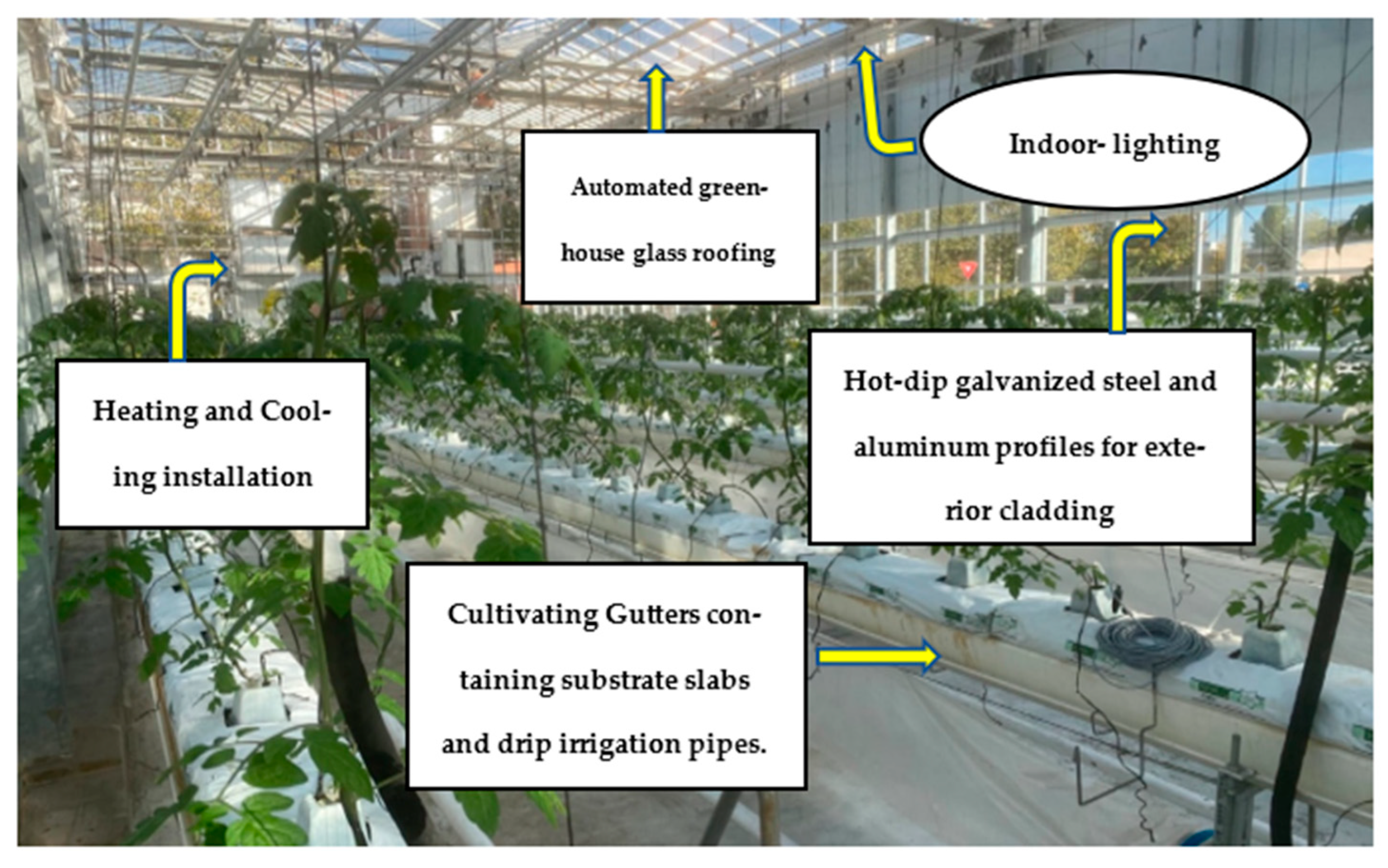 Ijpb 16 00100 g002 Ijpb 16 00100 g002