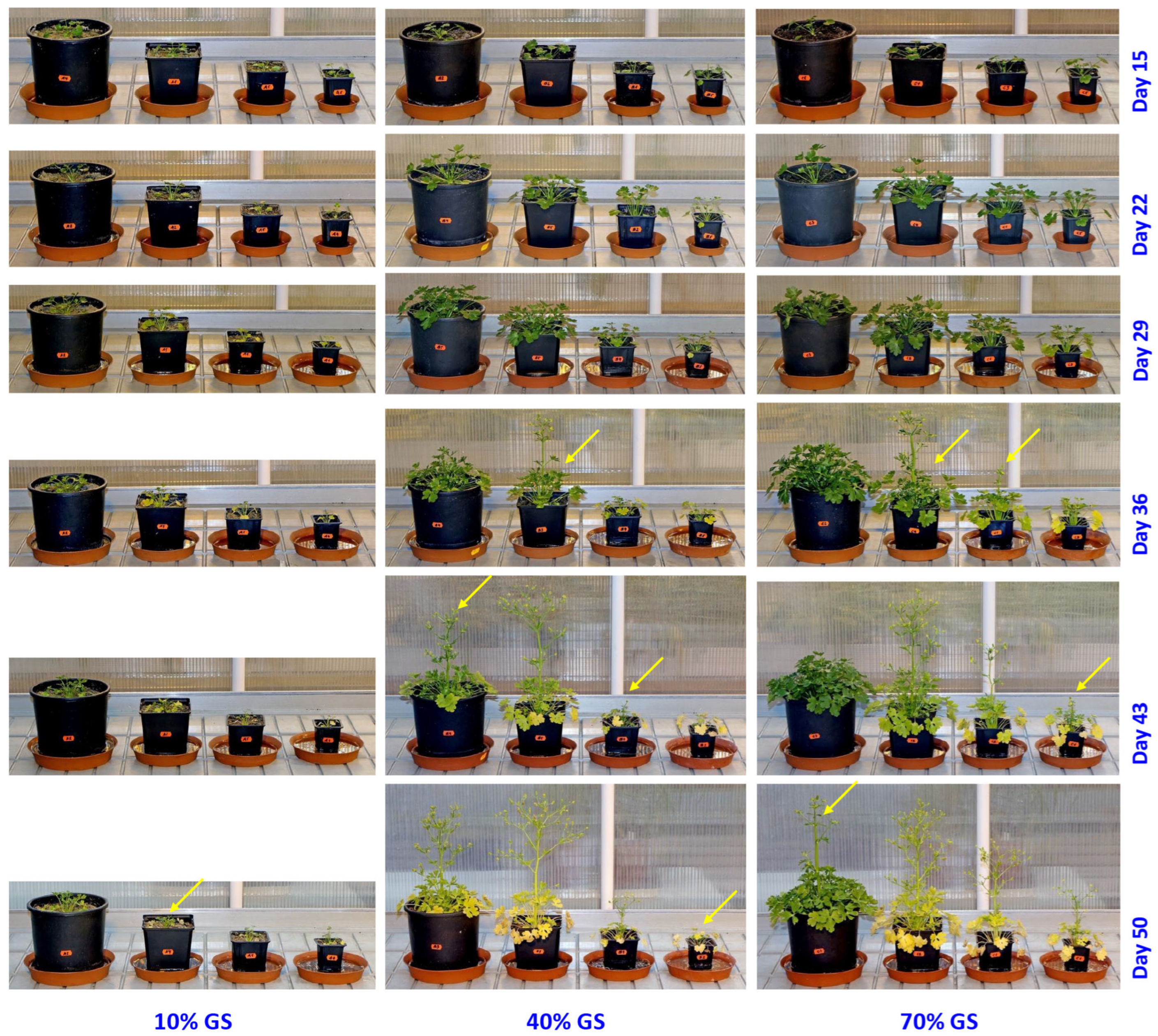 Ijpb 16 00118 g001 Ijpb 16 00118 g001