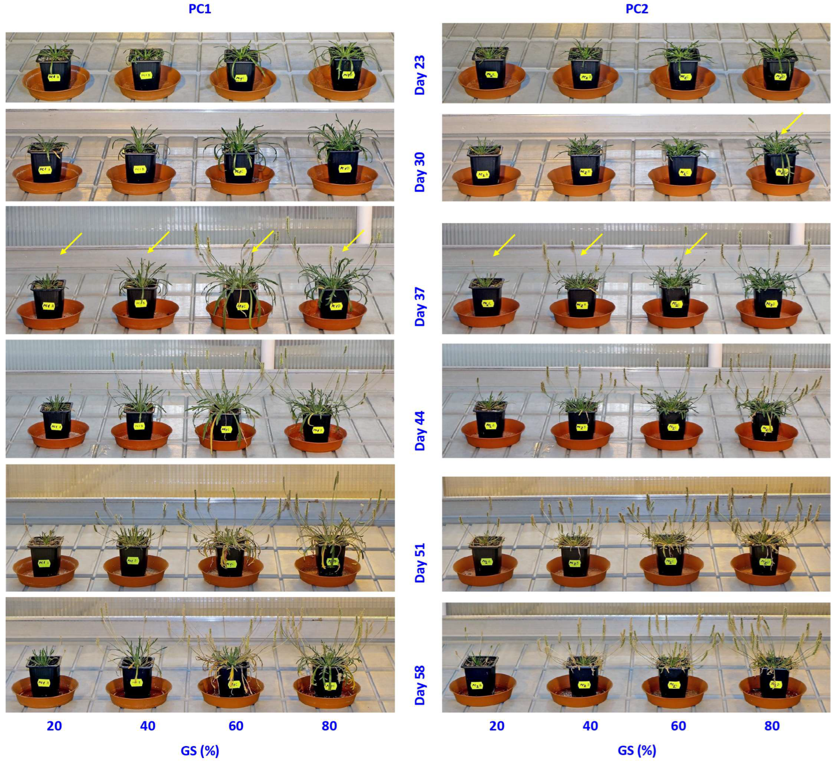 Ijpb 16 00118 g007a Ijpb 16 00118 g007a