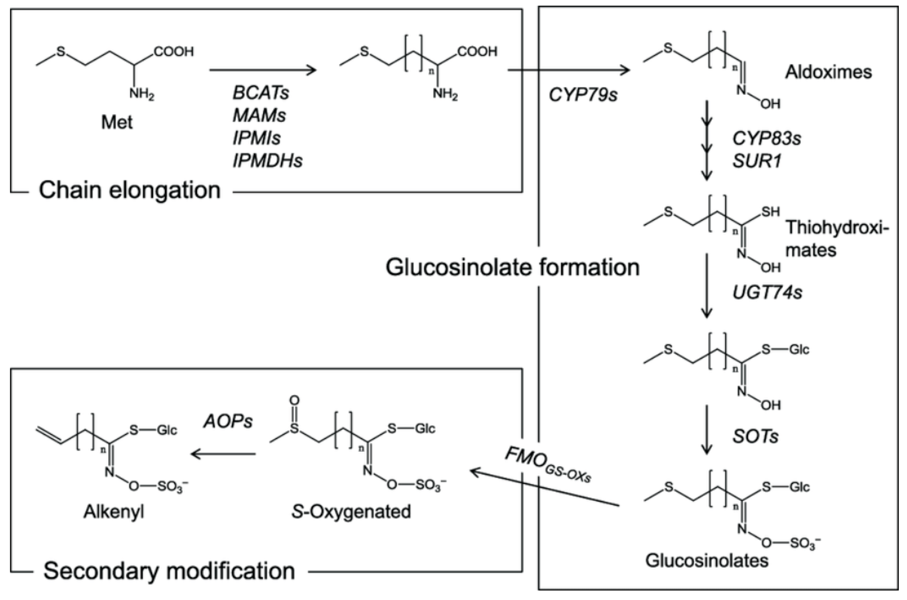 Ijpb 16 00137 g001 Ijpb 16 00137 g001