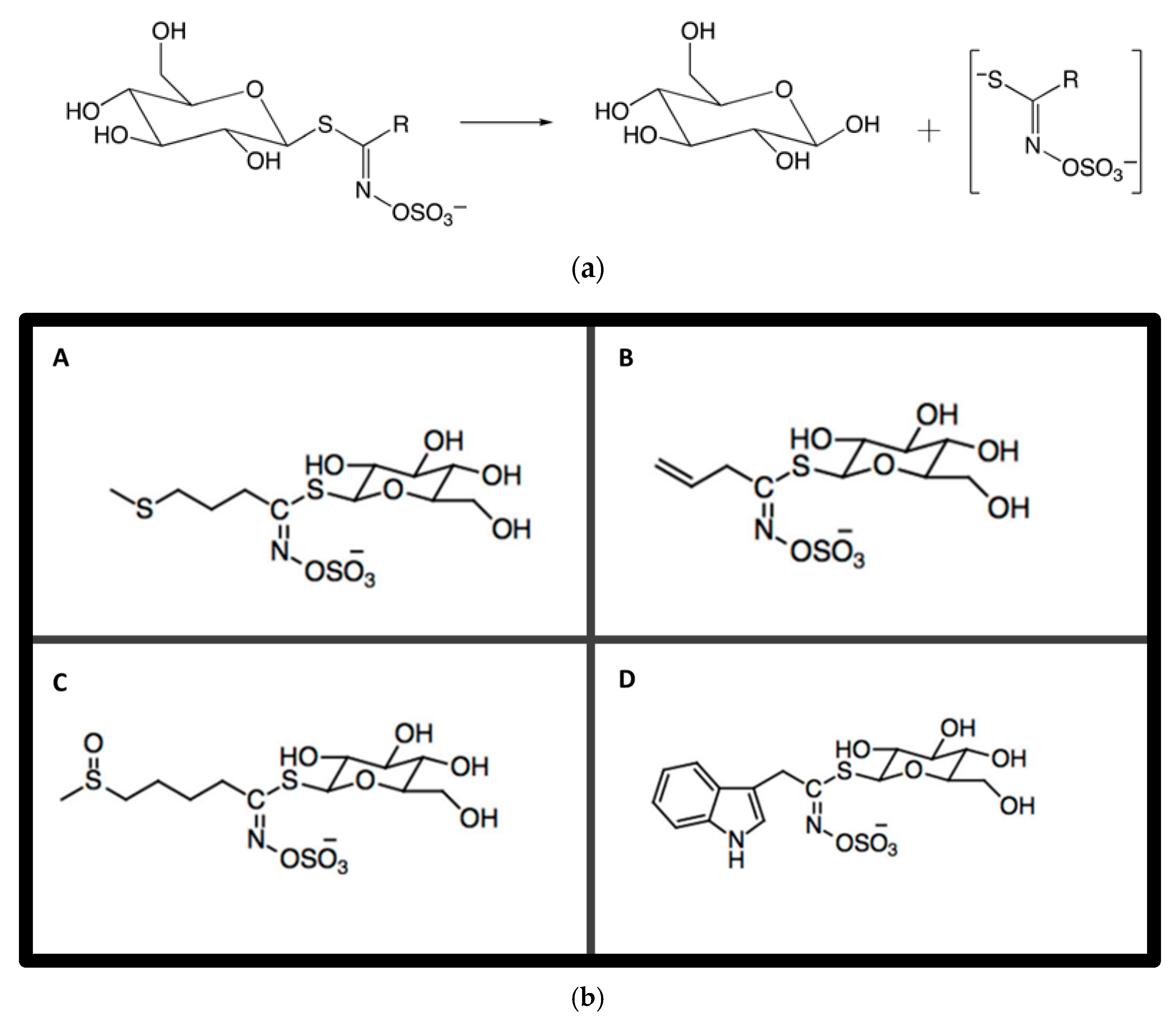 Ijpb 16 00137 g002 Ijpb 16 00137 g002
